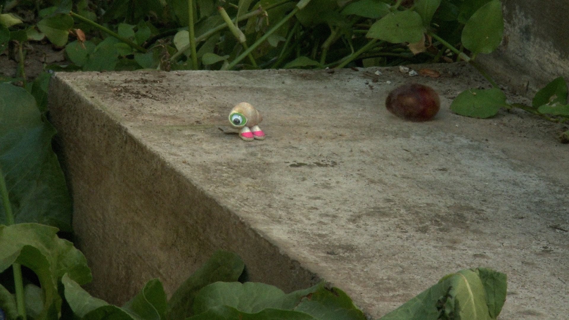 Marcel the Shell with Shoes On, Three Background