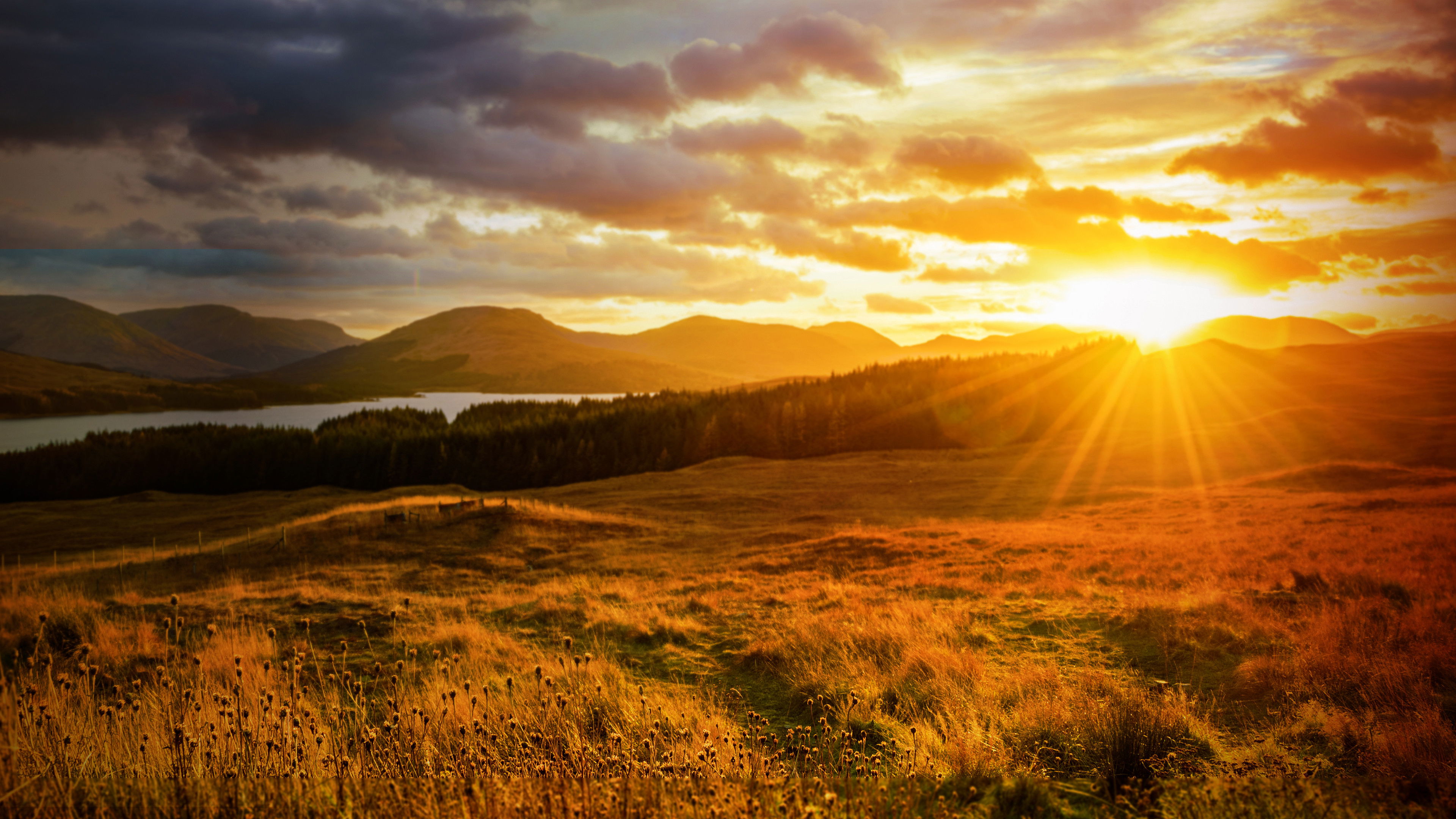 Autumnwatch Background