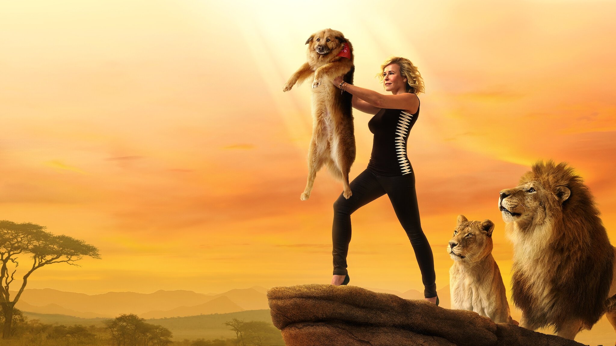 Chelsea Handler: Uganda Be Kidding Me Live Background