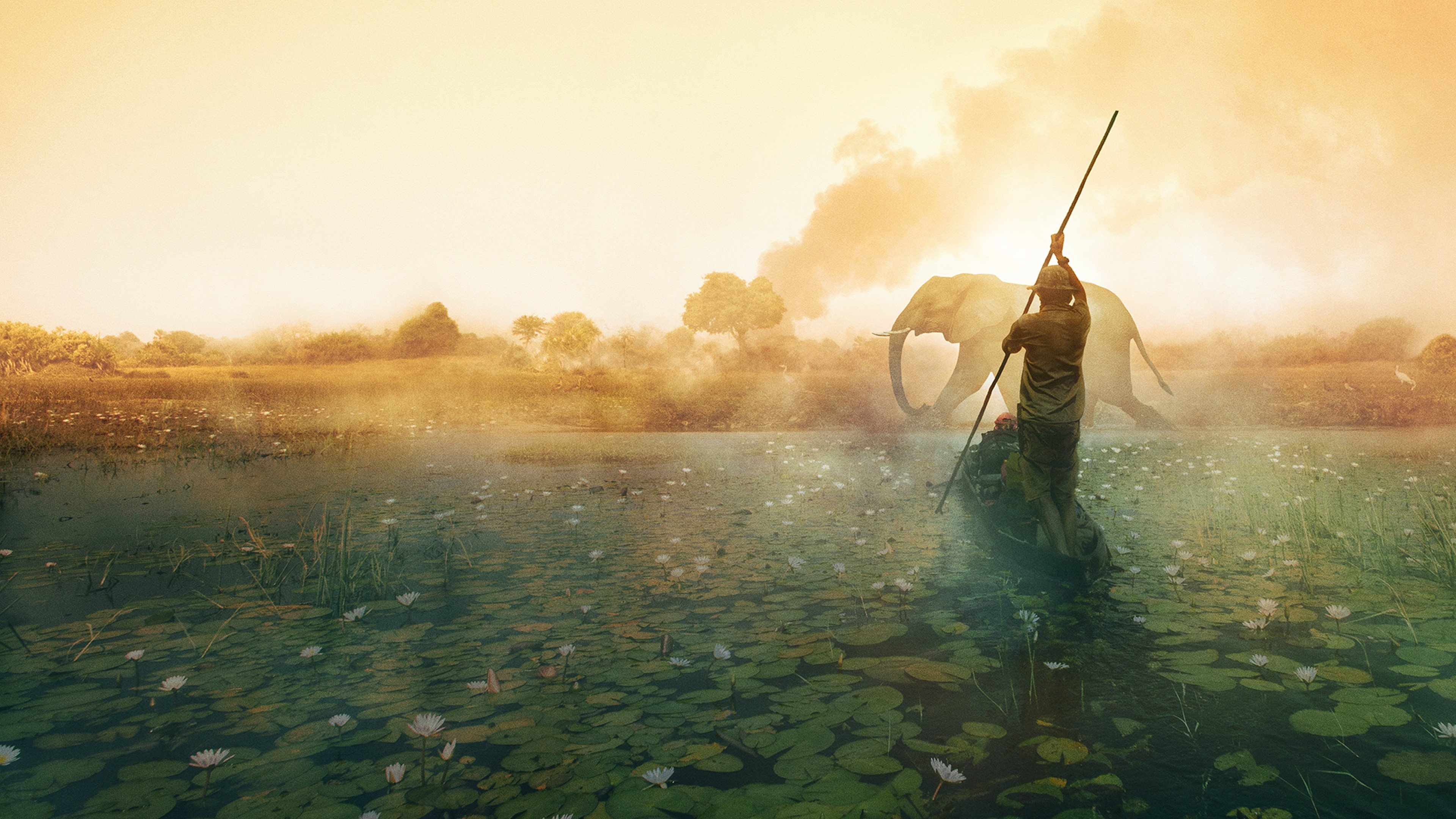 Into the Okavango Background