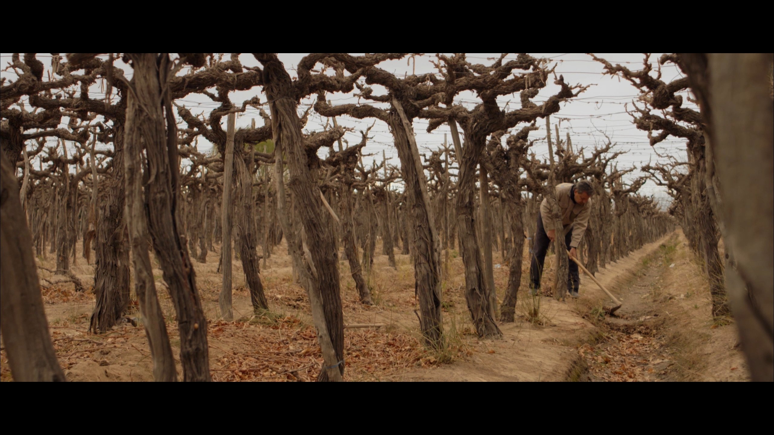 Tierra Yerma Background