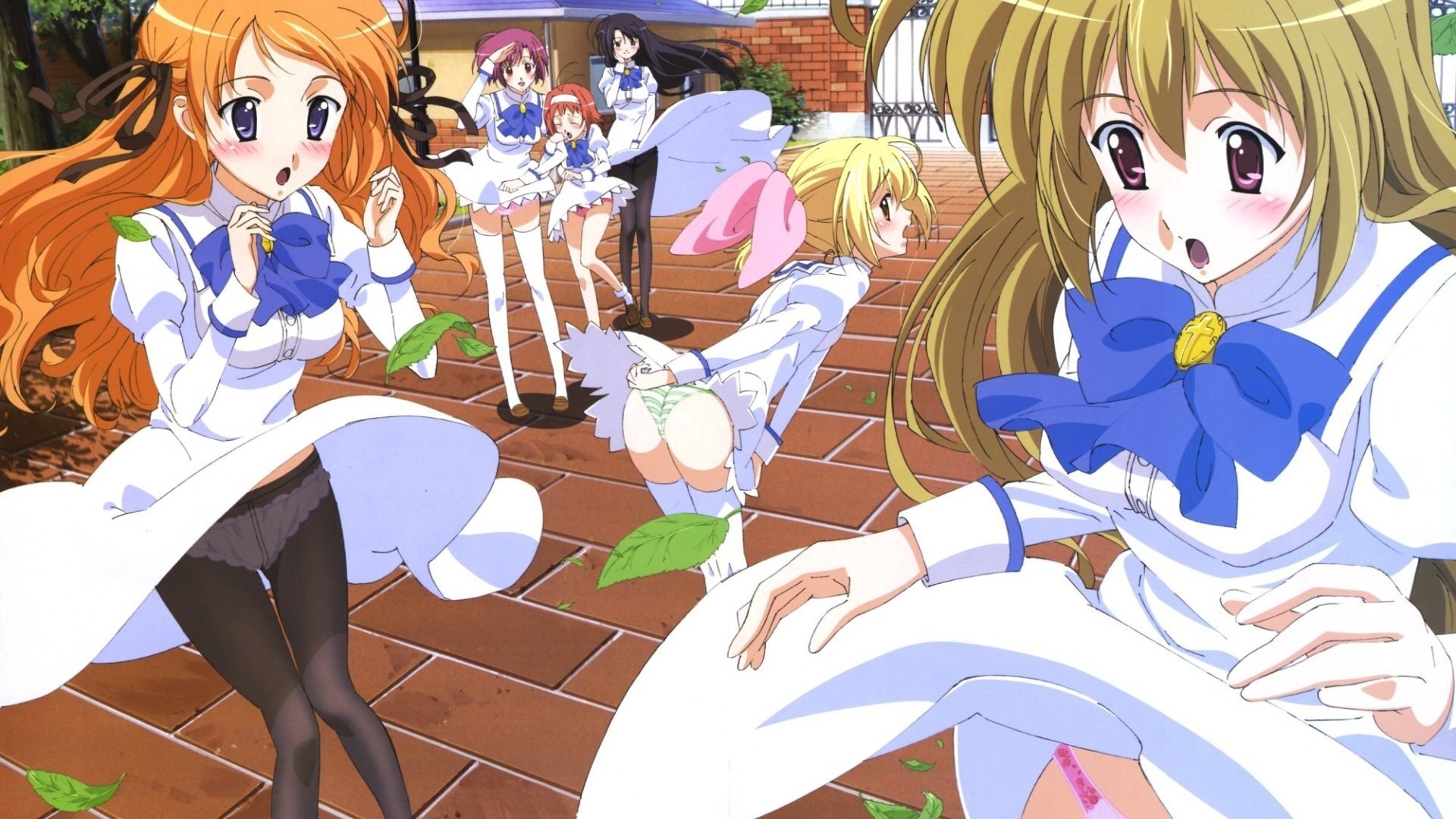Otoboku: Maidens are Falling for Me Background