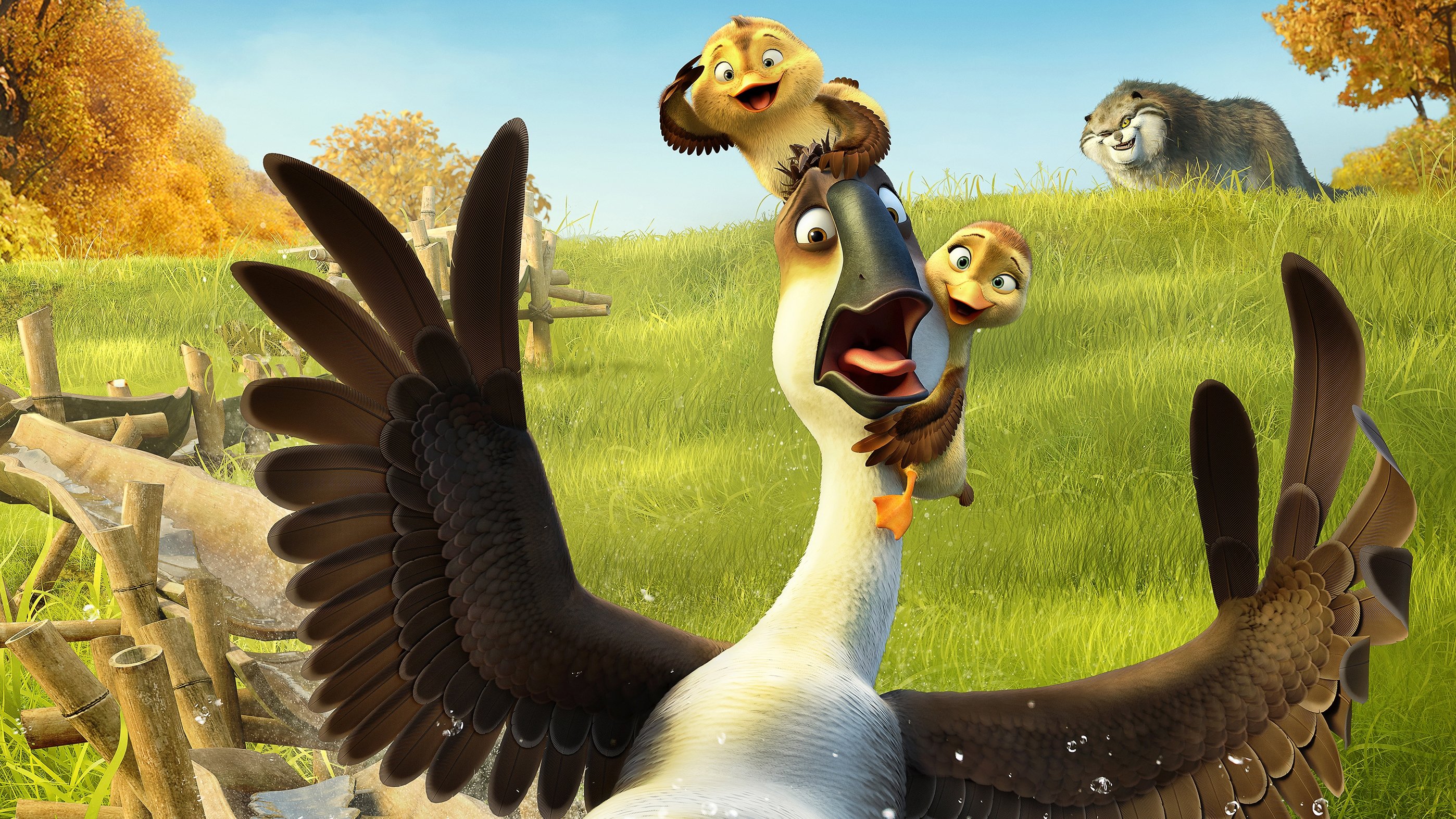 Duck Duck Goose Background