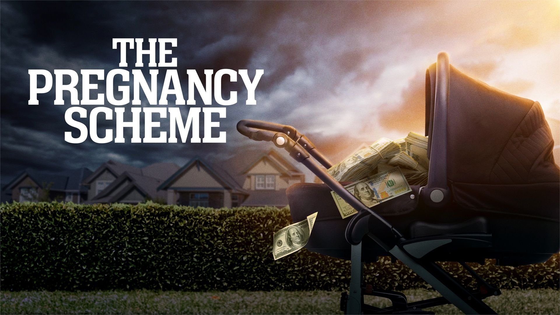 The Pregnancy Scheme Background