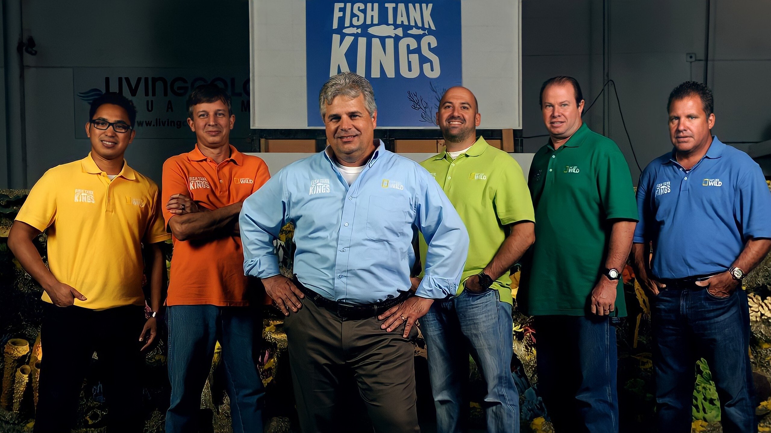 Fish Tank Kings Background