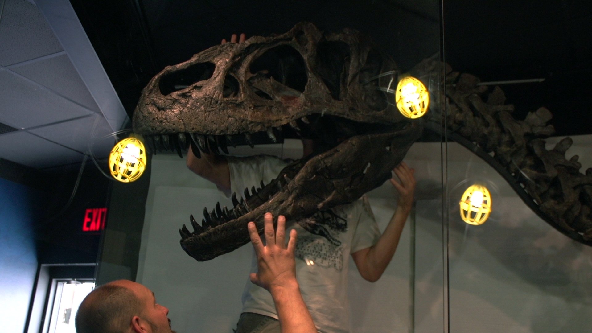 We Believe in Dinosaurs Background