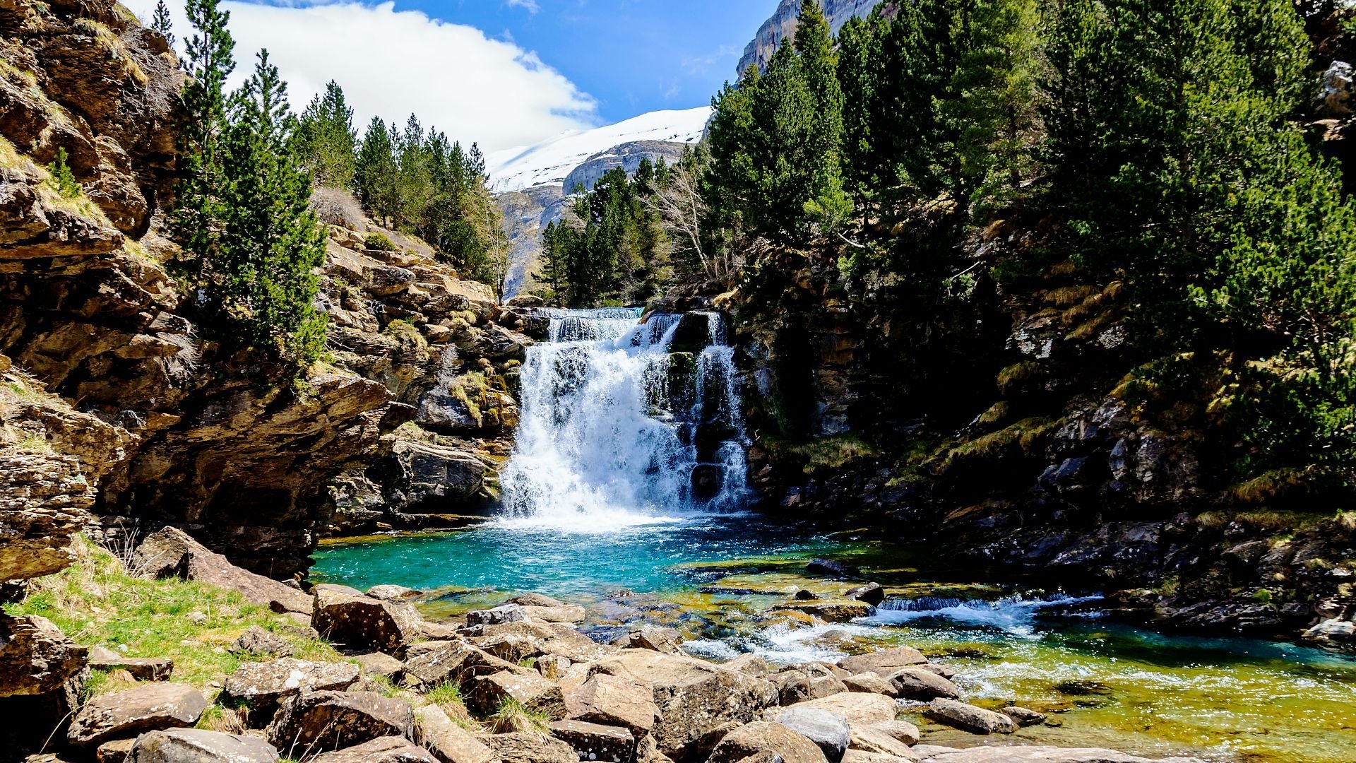 Wild Pyrenees Background