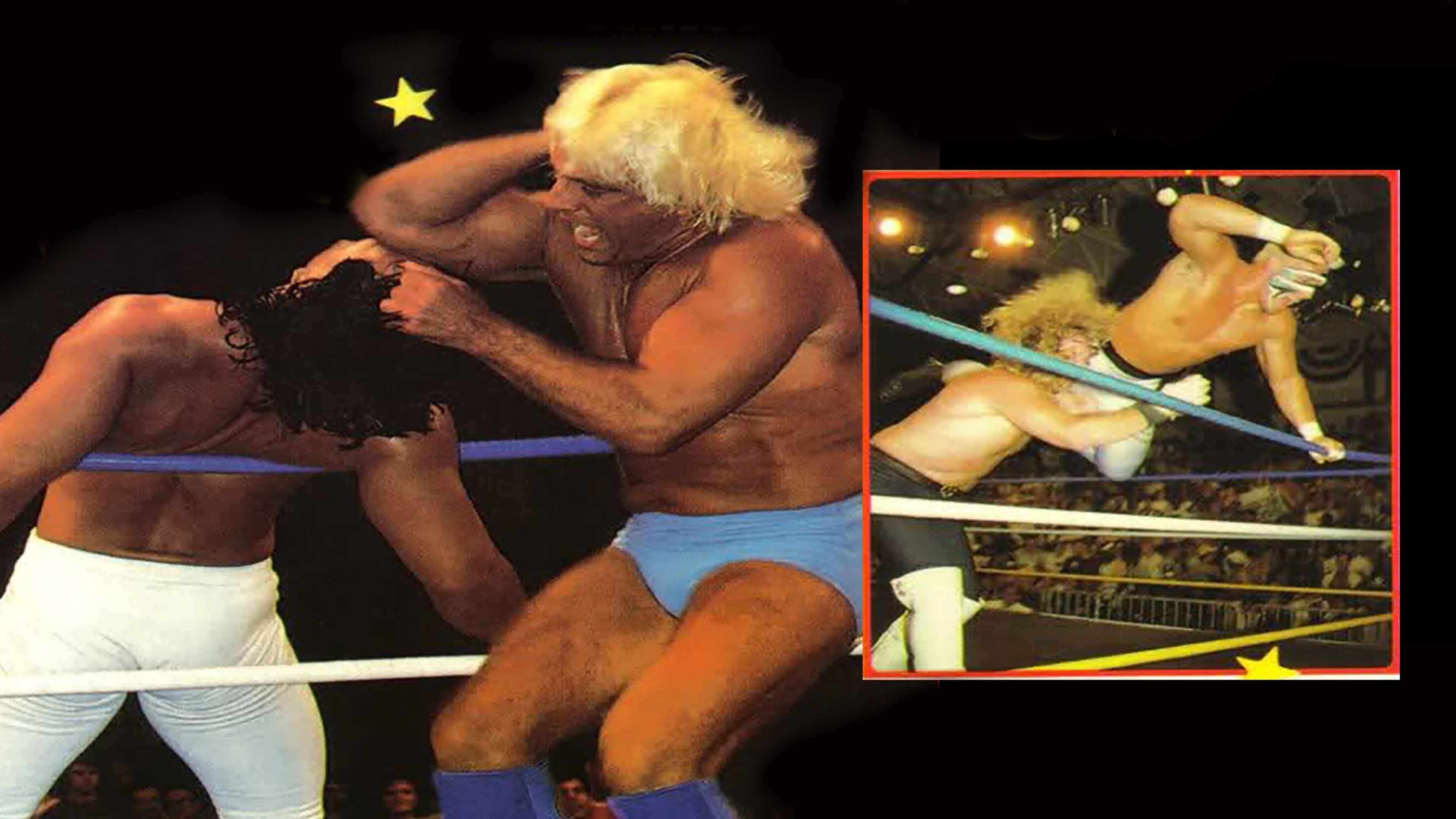NWA The Great American Bash '89: The Glory Days Background