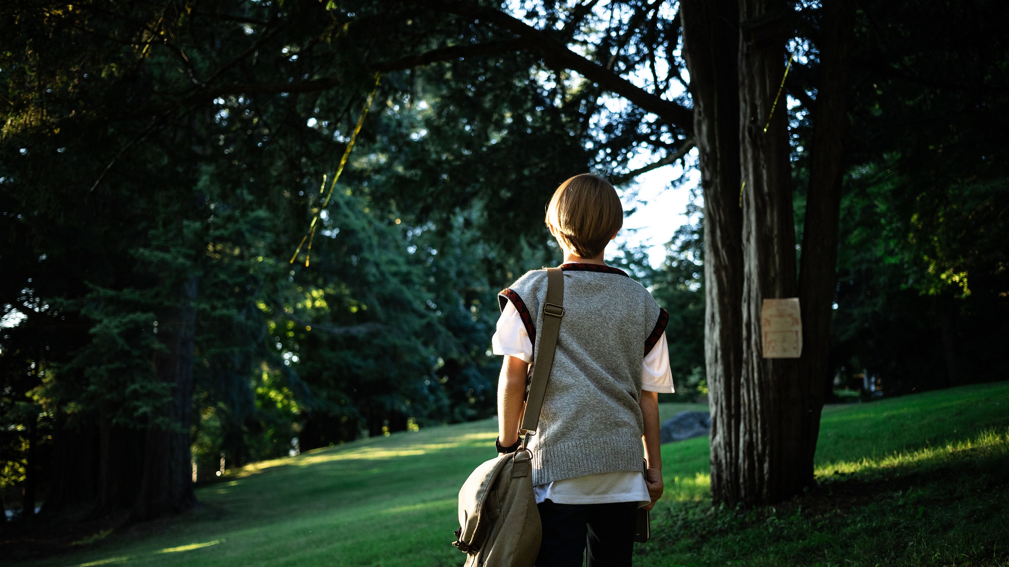 A Tale of Favorite Books Background