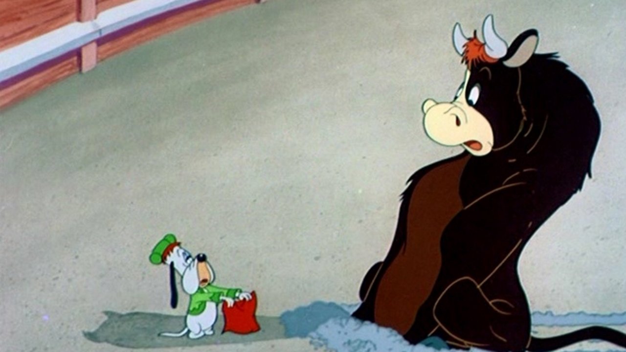 Señor Droopy Background