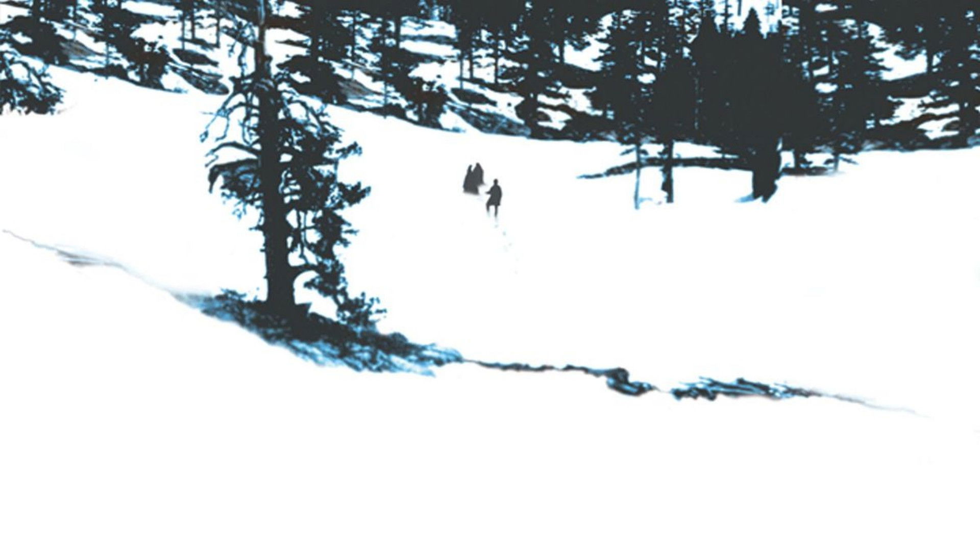The Donner Party Background