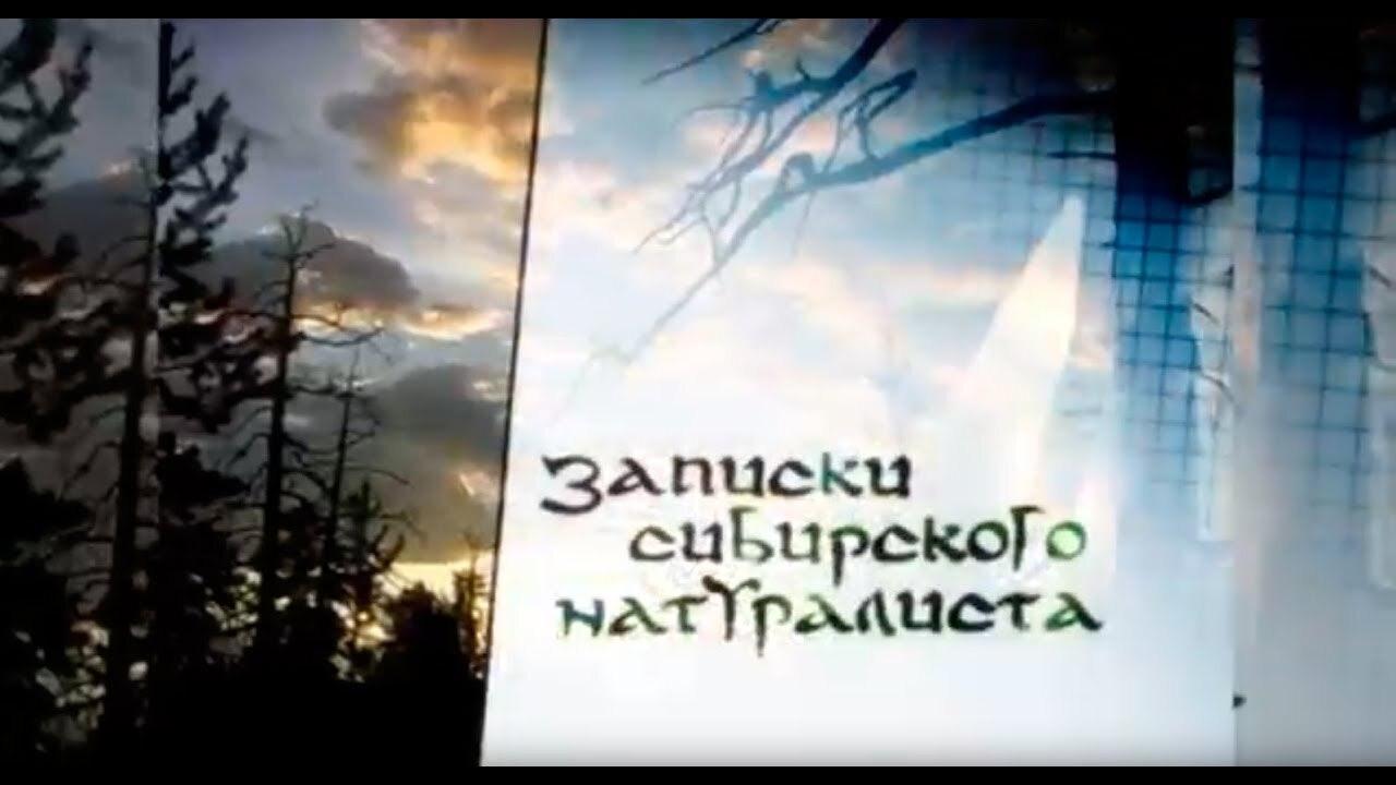 Записки Сибирского Натуралиста Background