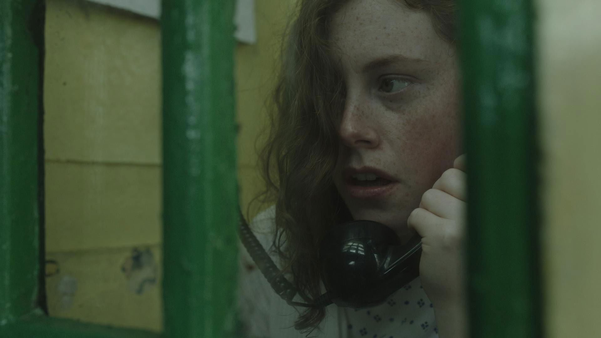 A White Horse Background