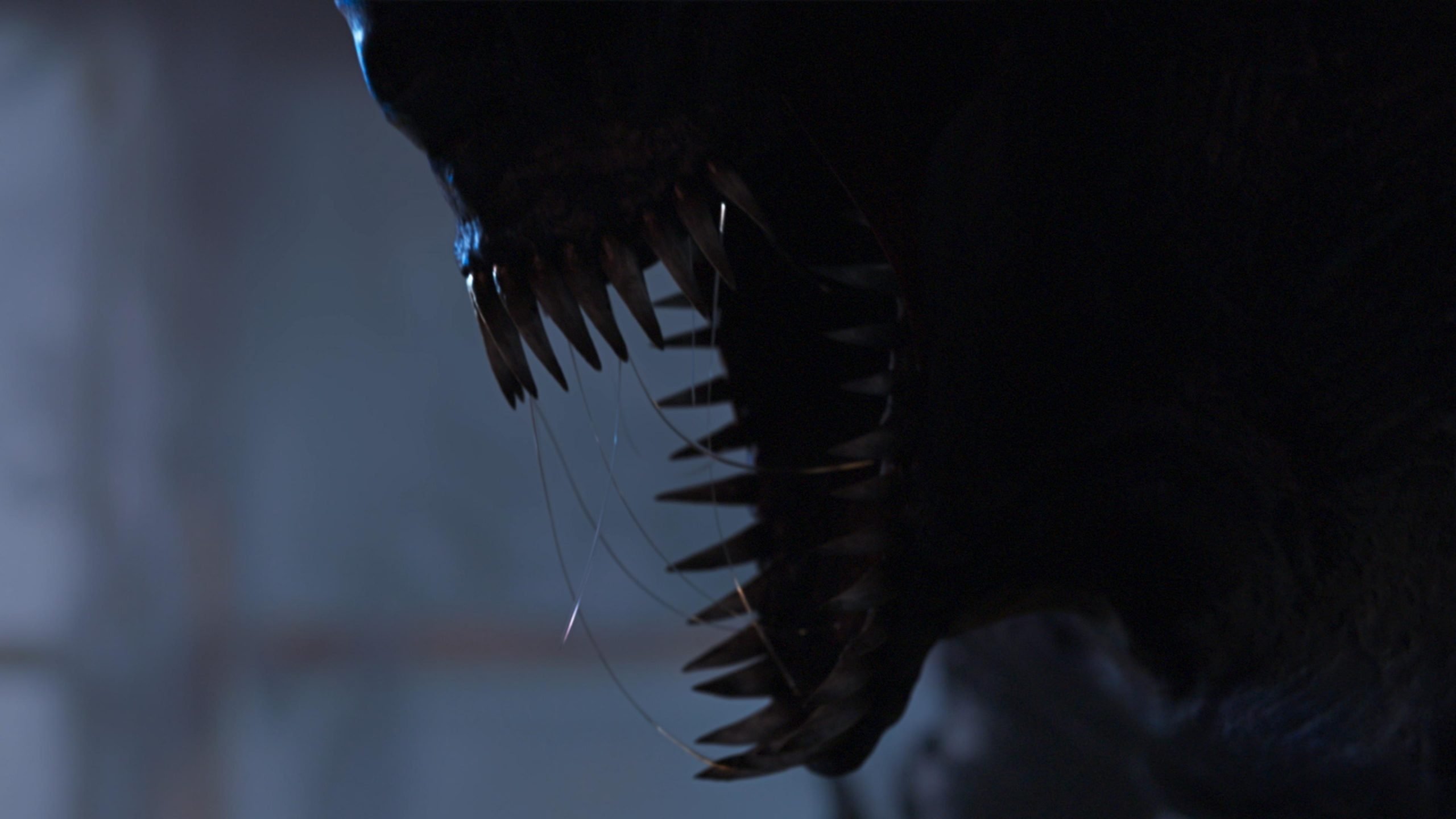 Stereoscope Background