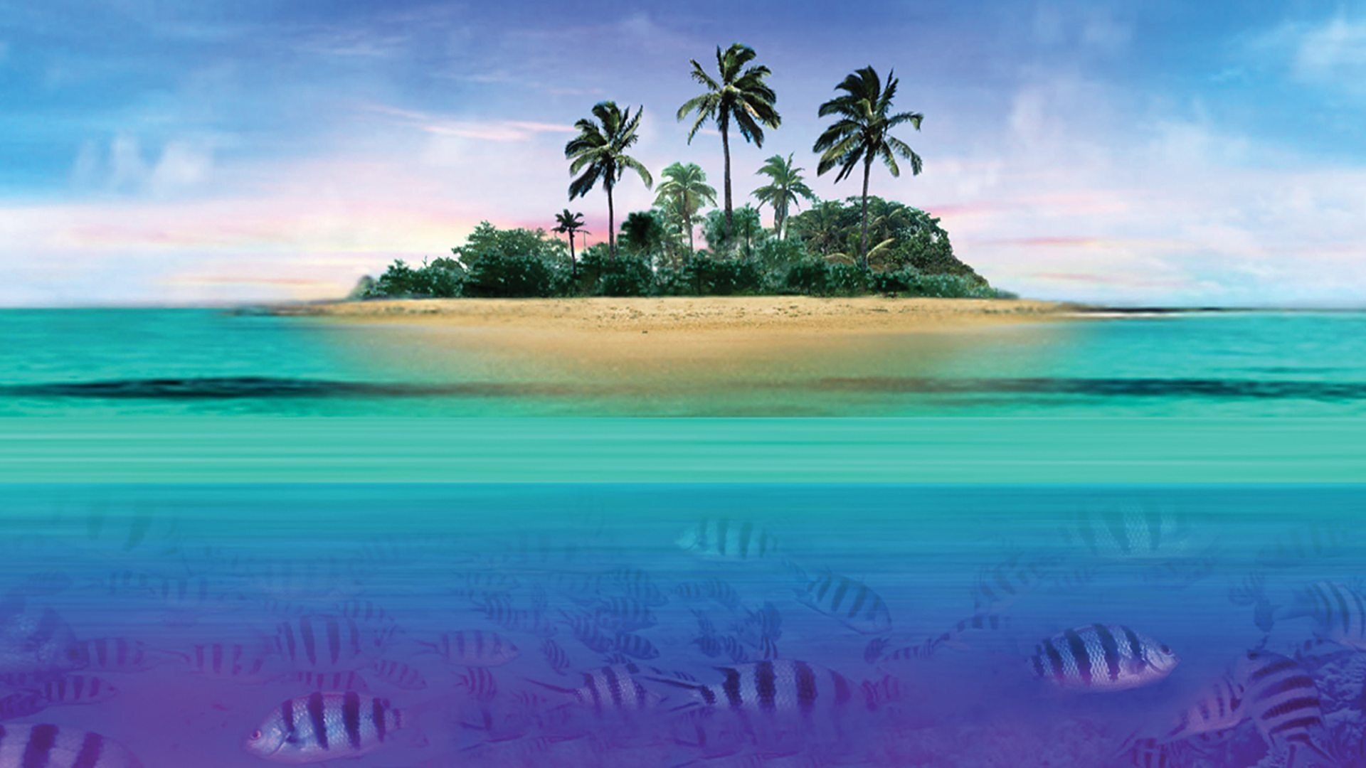 Wild Caribbean Background