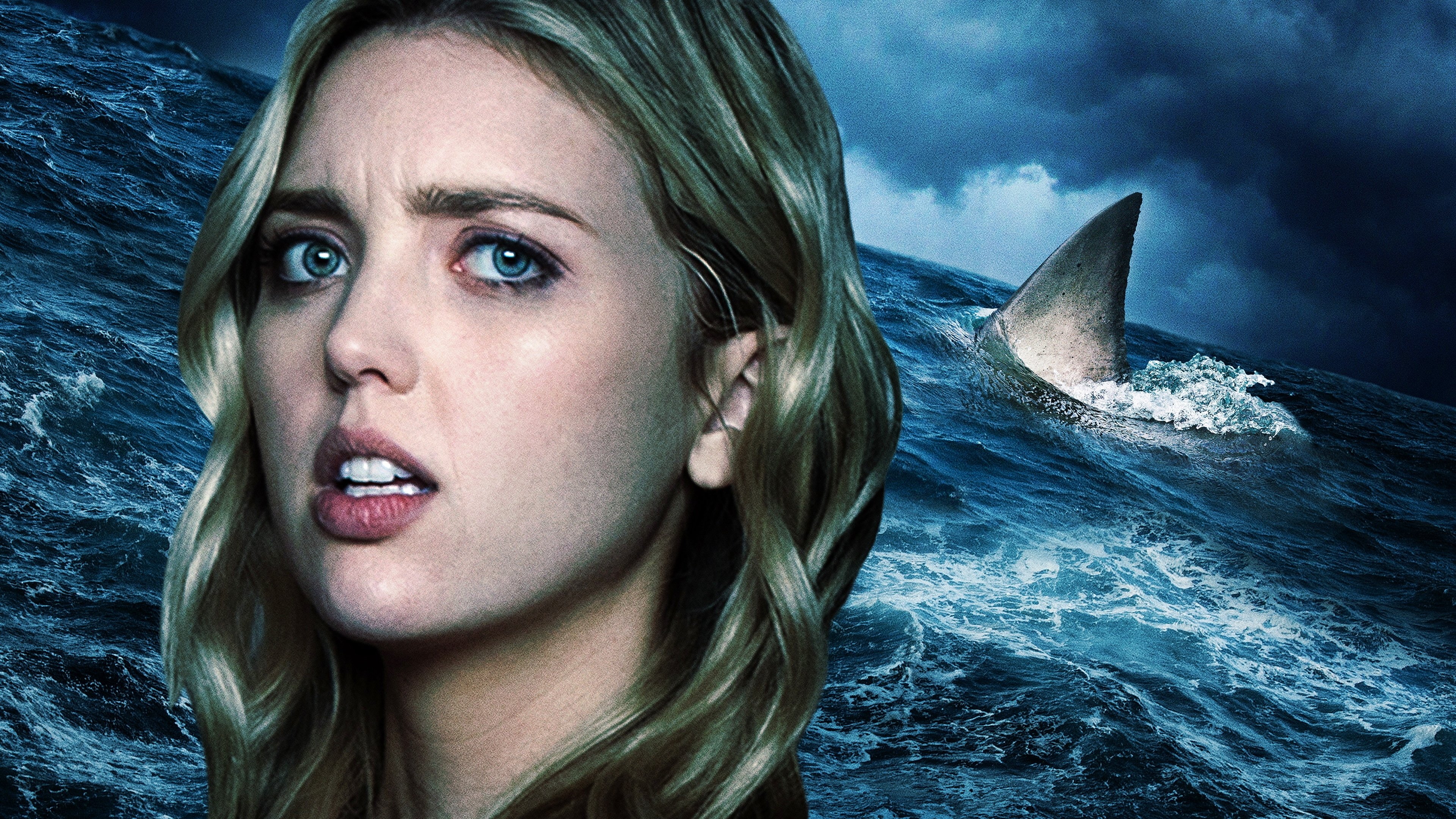 Shark Season Background