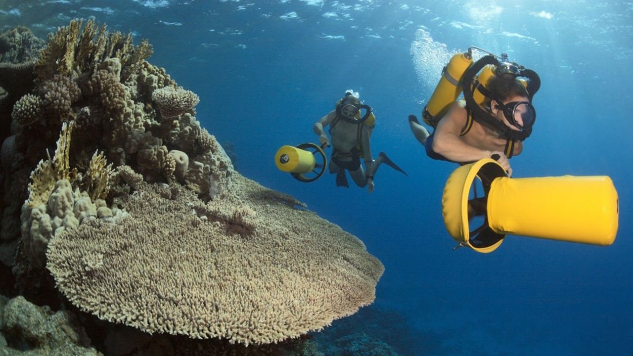 Jacques Cousteau's Legacy – Return to the Undersea World Background