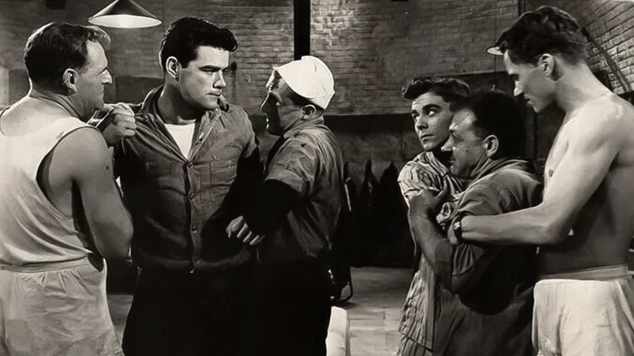 Seagulls Over Sorrento Background