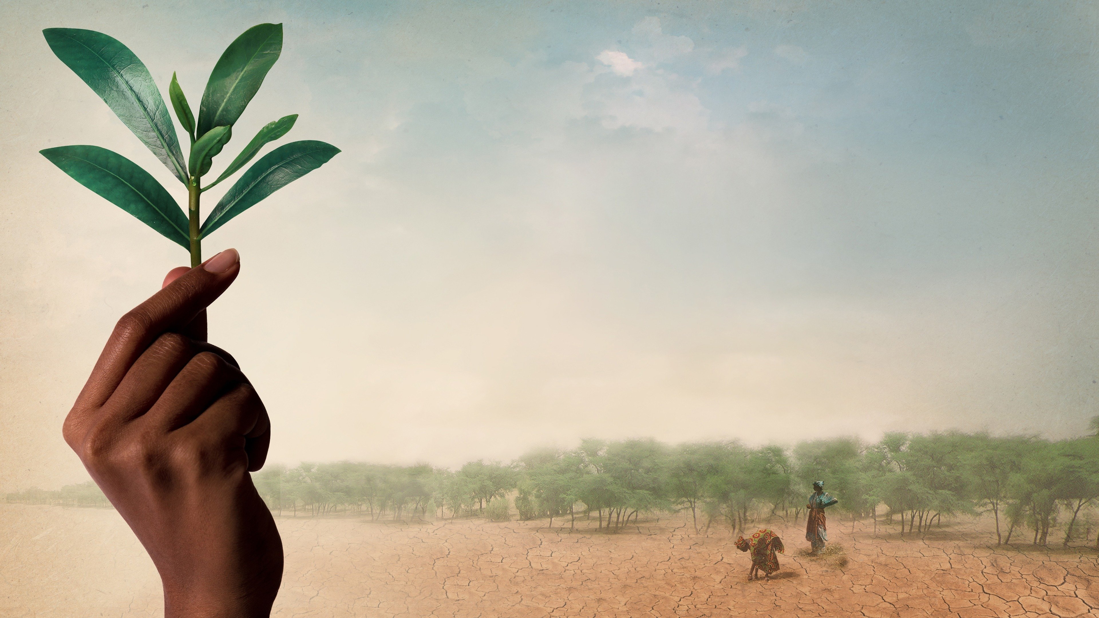 The Great Green Wall Background
