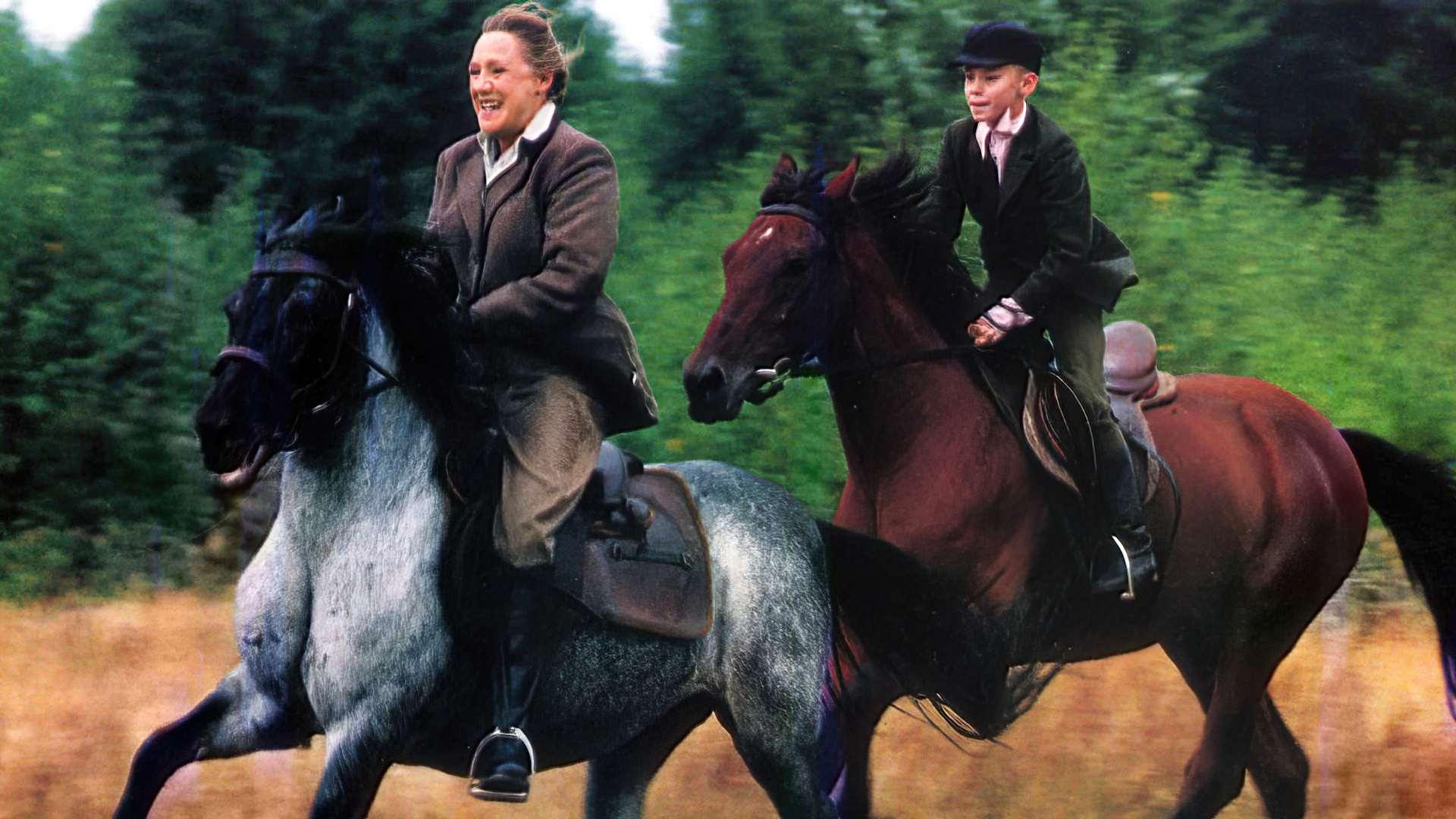 At Full Gallop Background
