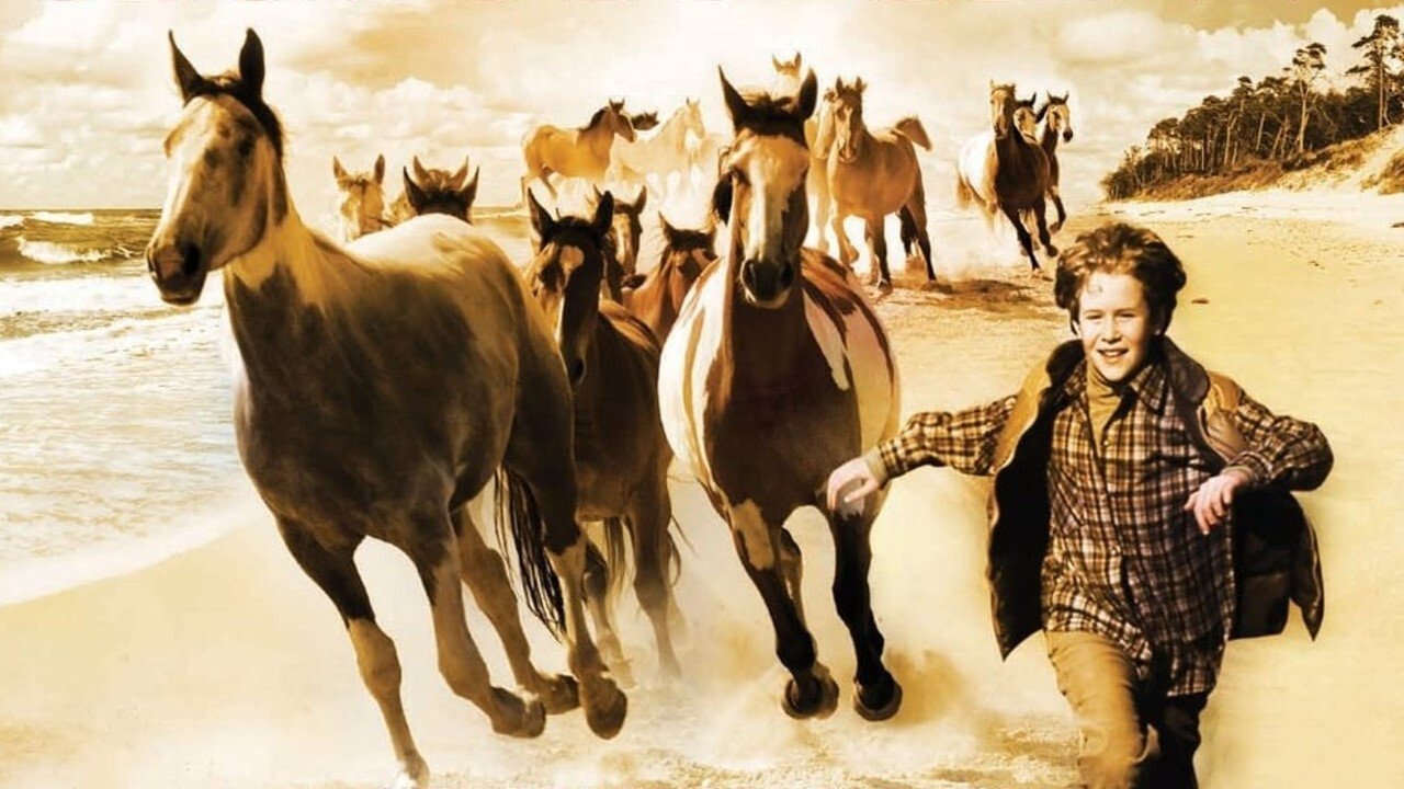 Touching Wild Horses Background