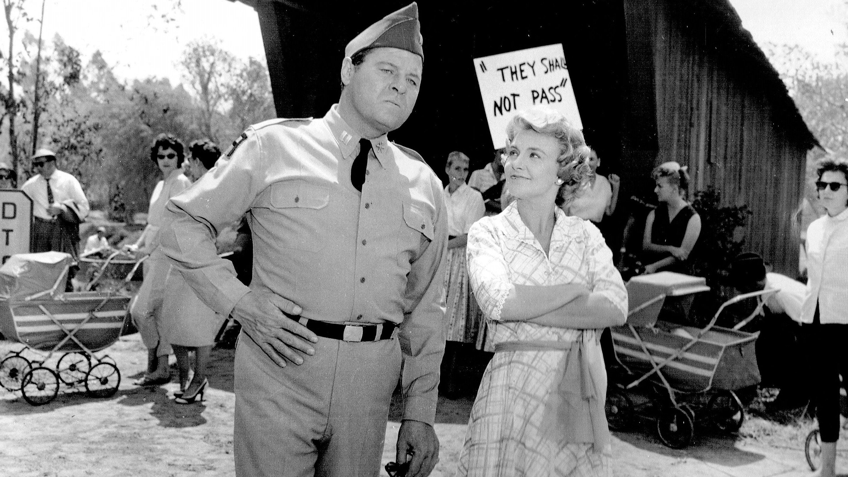 Rally 'Round the Flag, Boys! Background