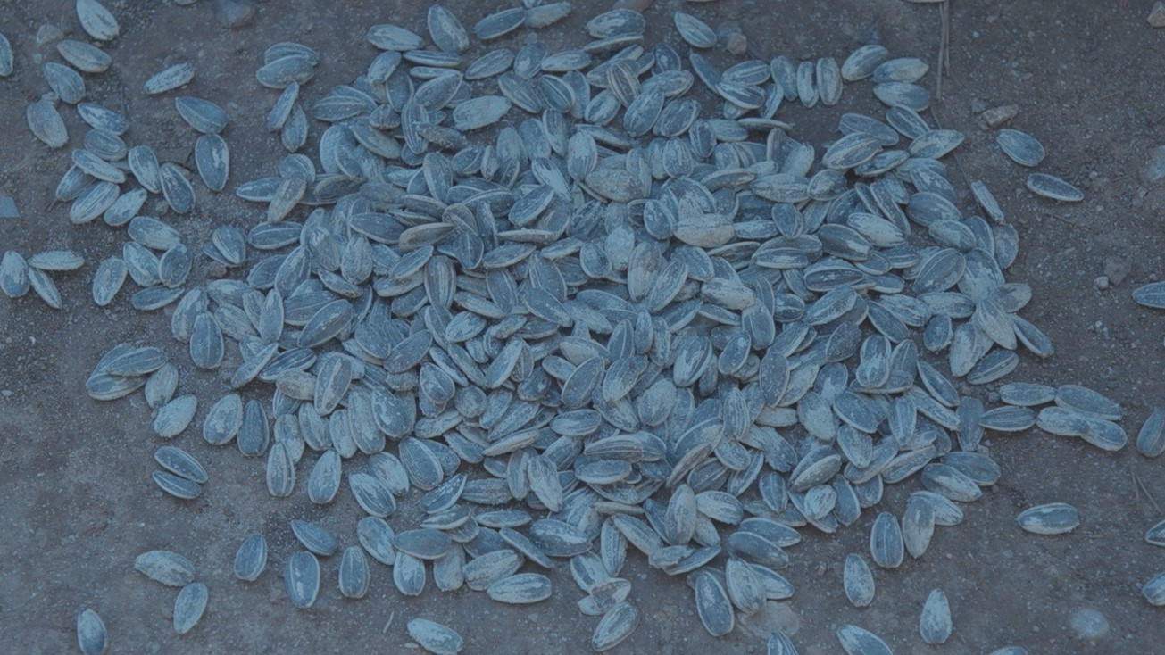 Plastic Love Background