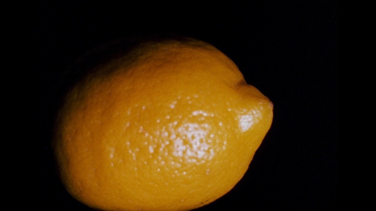 Lemon Background