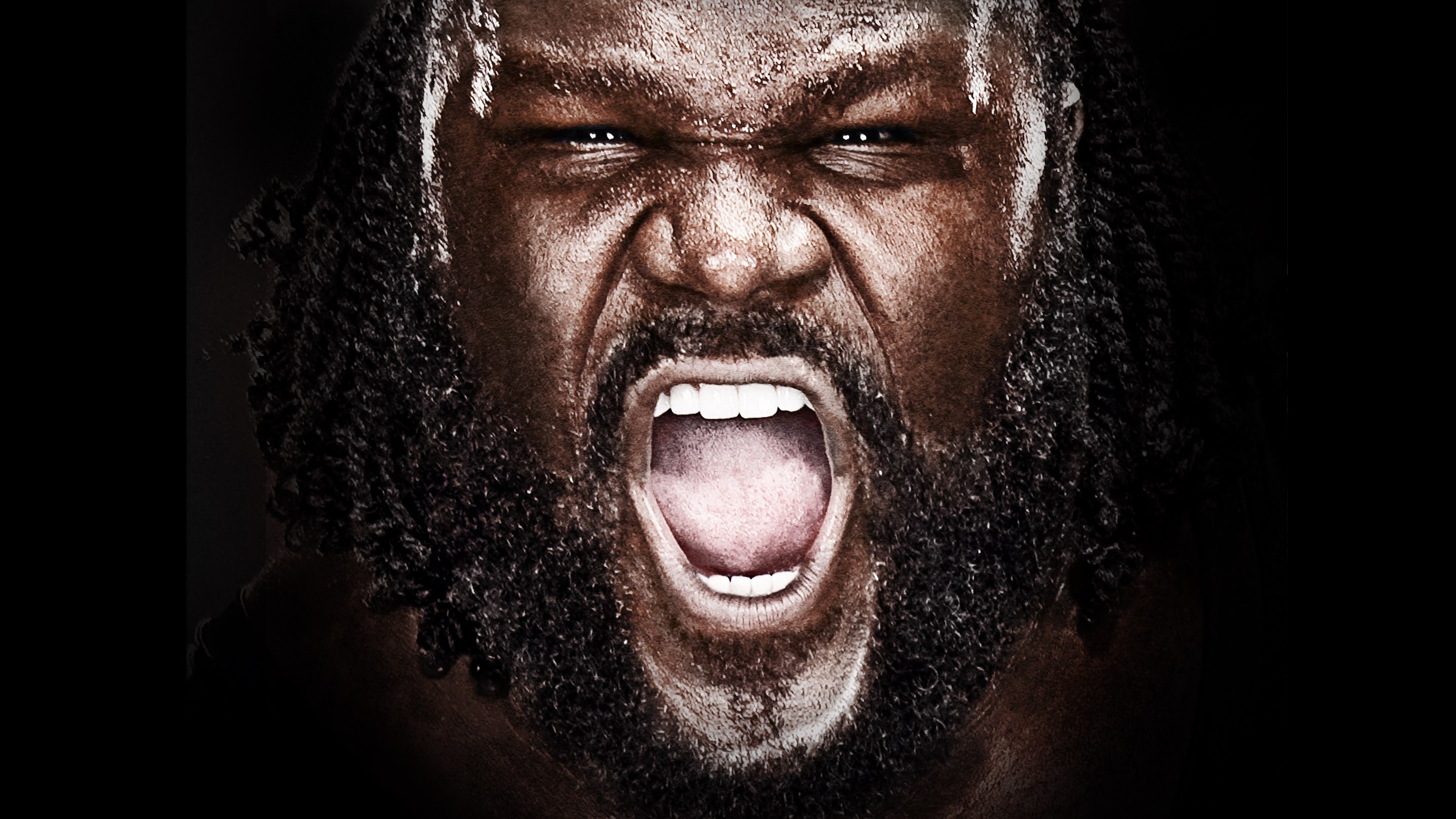 WWE Vengeance 2011 Background