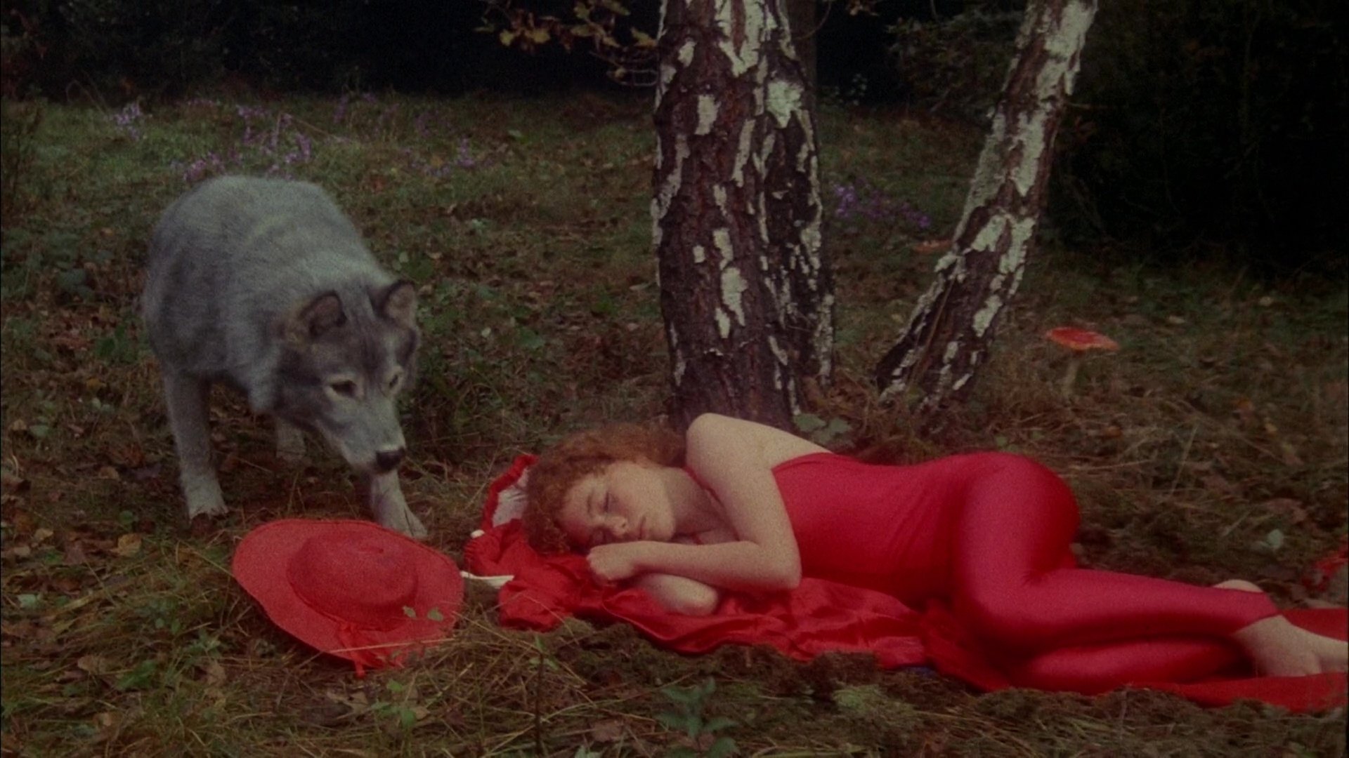 Bye Bye, Red Riding Hood Background