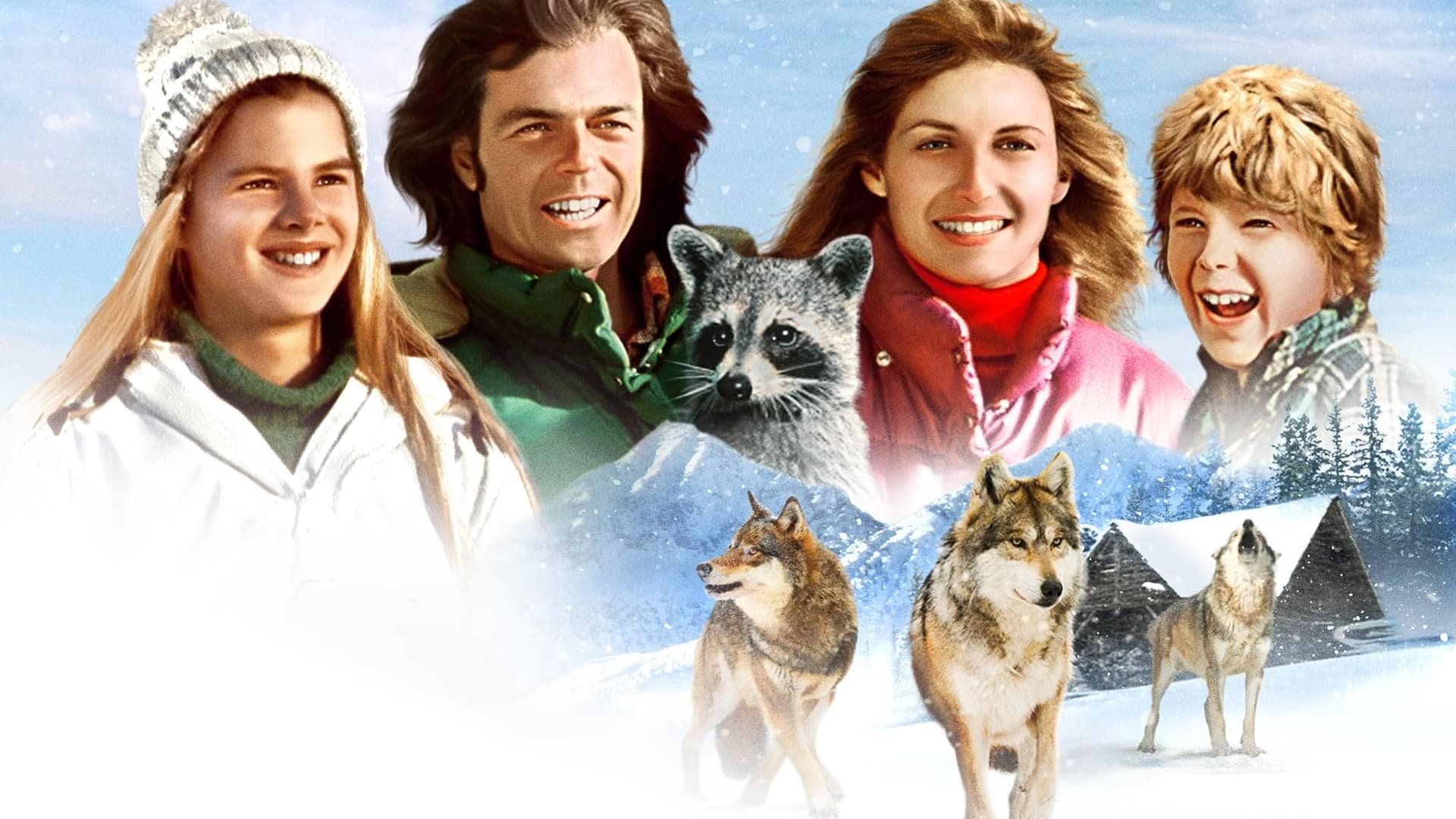 Adventures of the Wilderness Family 2 Background