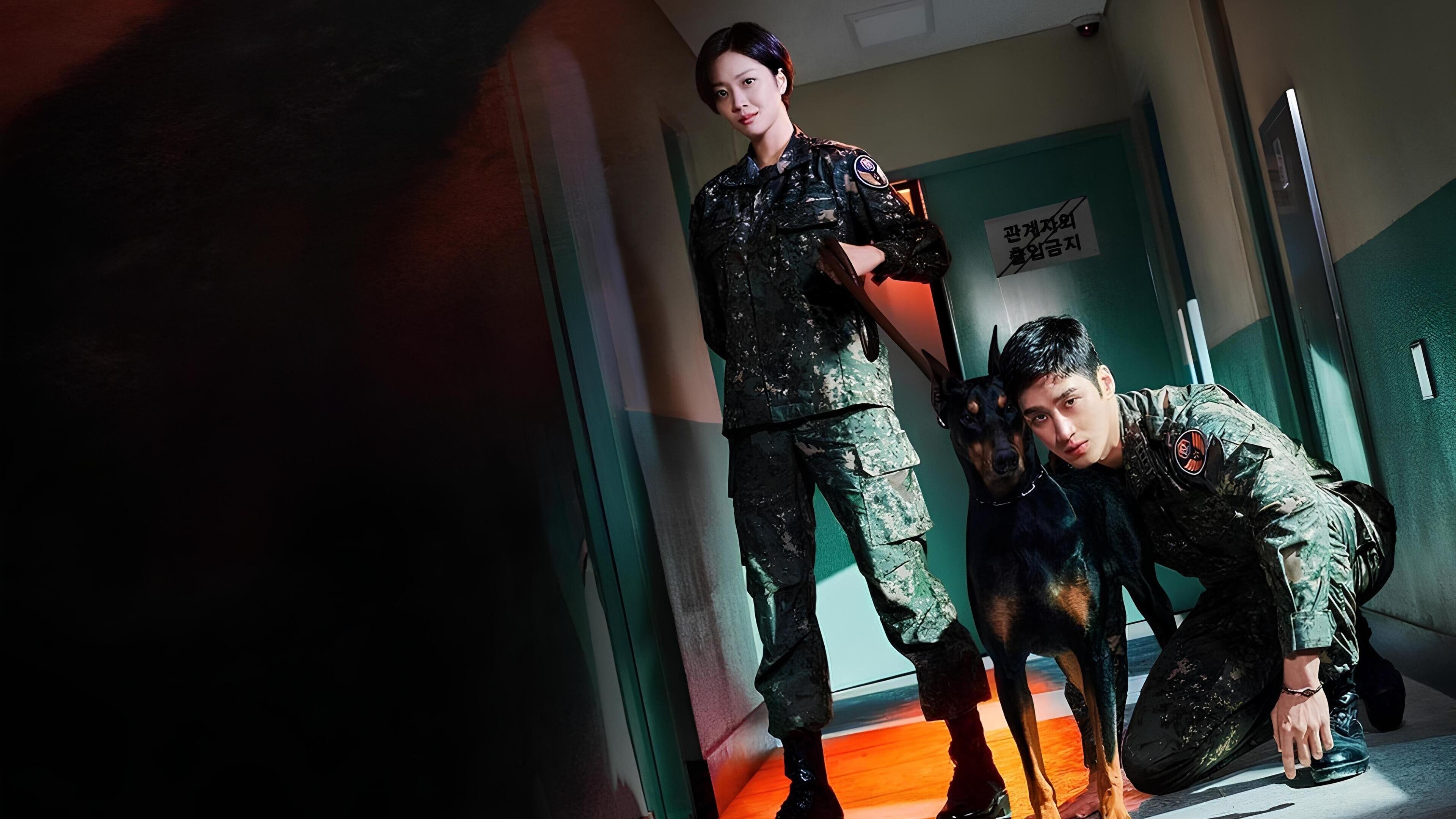 Military Prosecutor Doberman Background