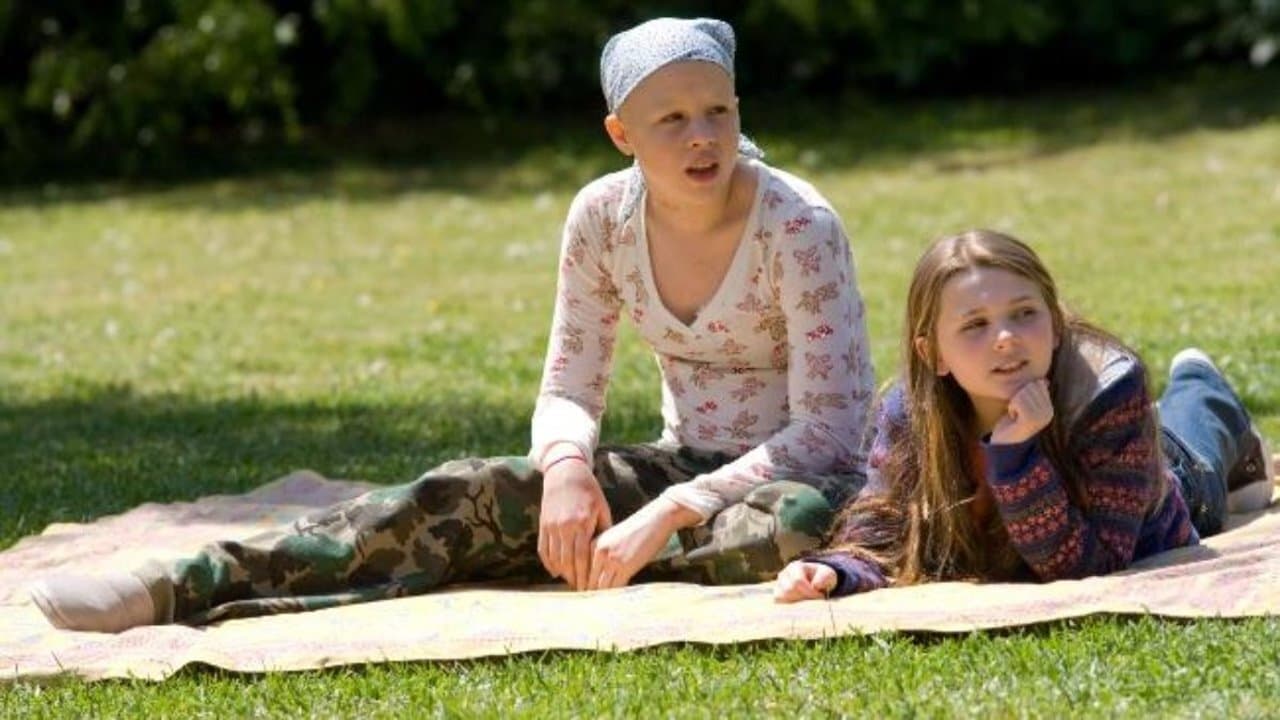 My Sister's Keeper Background