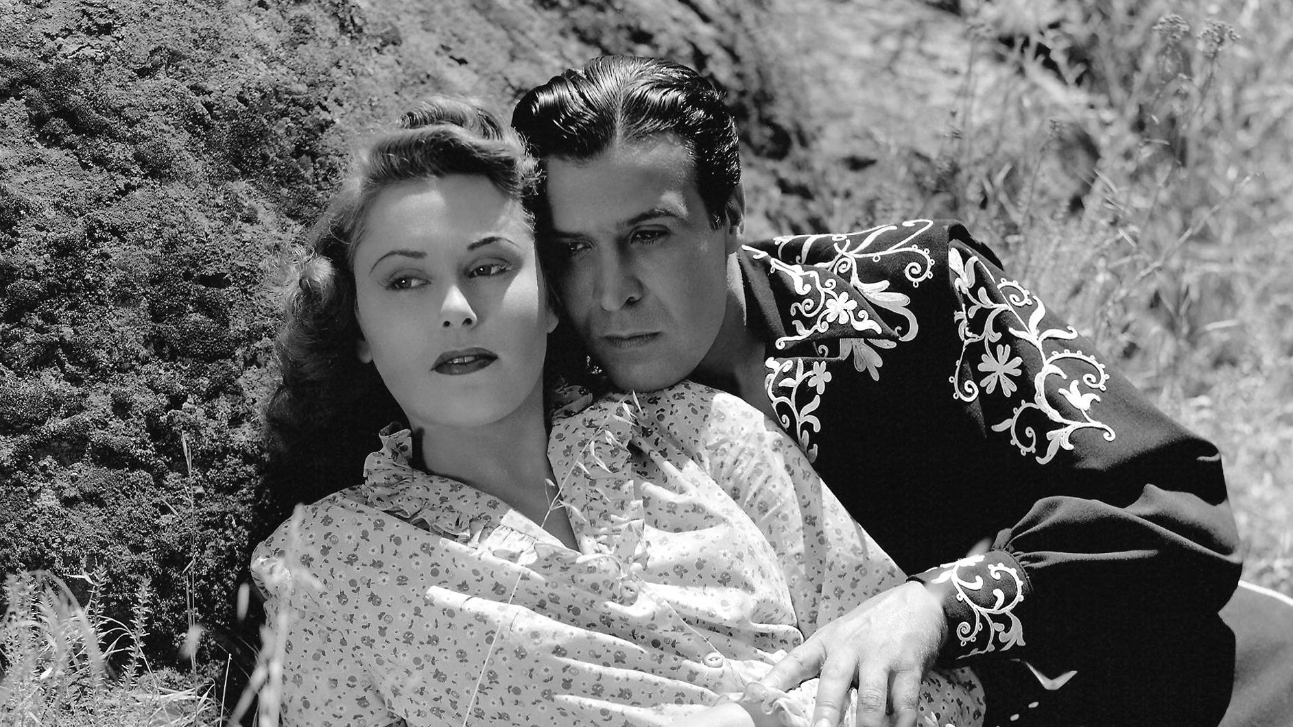 Zorro's Black Whip Background