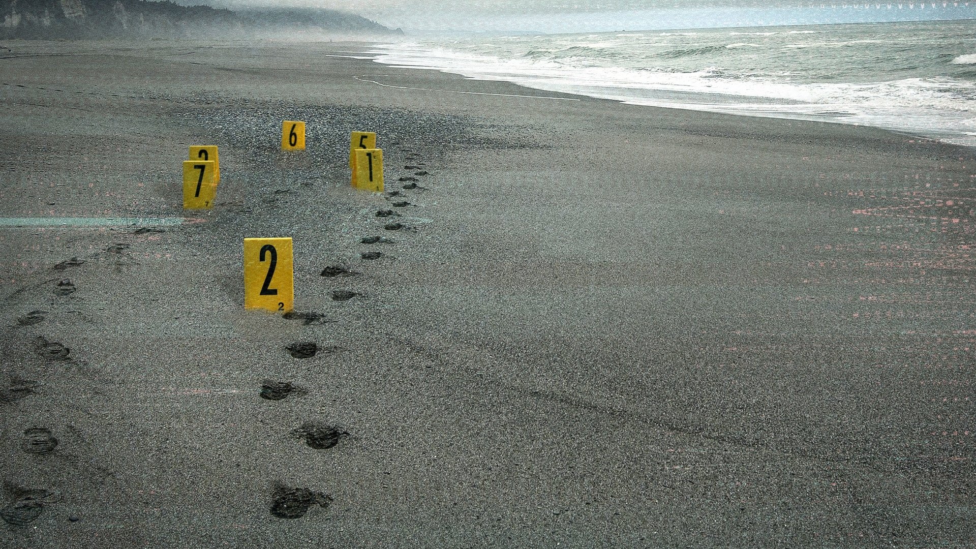 Murdered: The Baby on the Beach Background