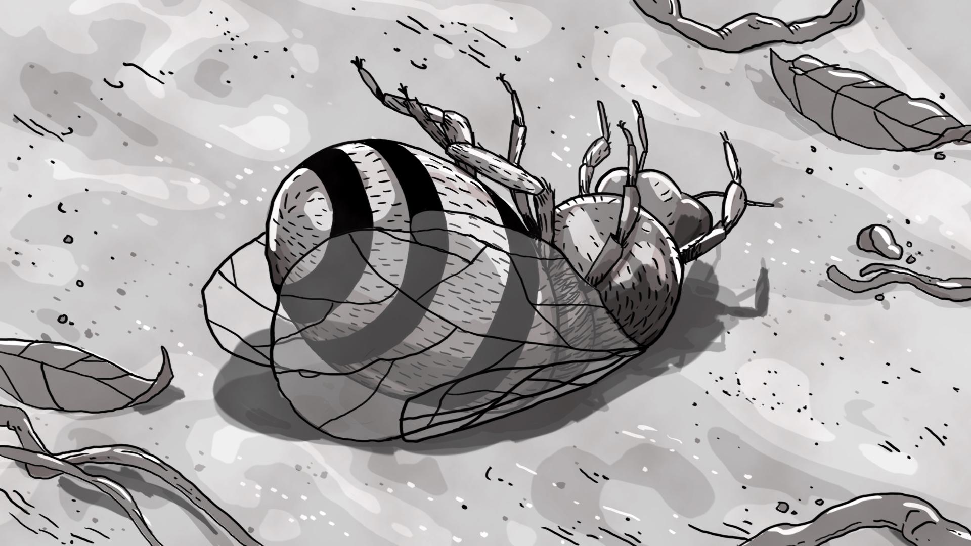 Vortex 31 Background