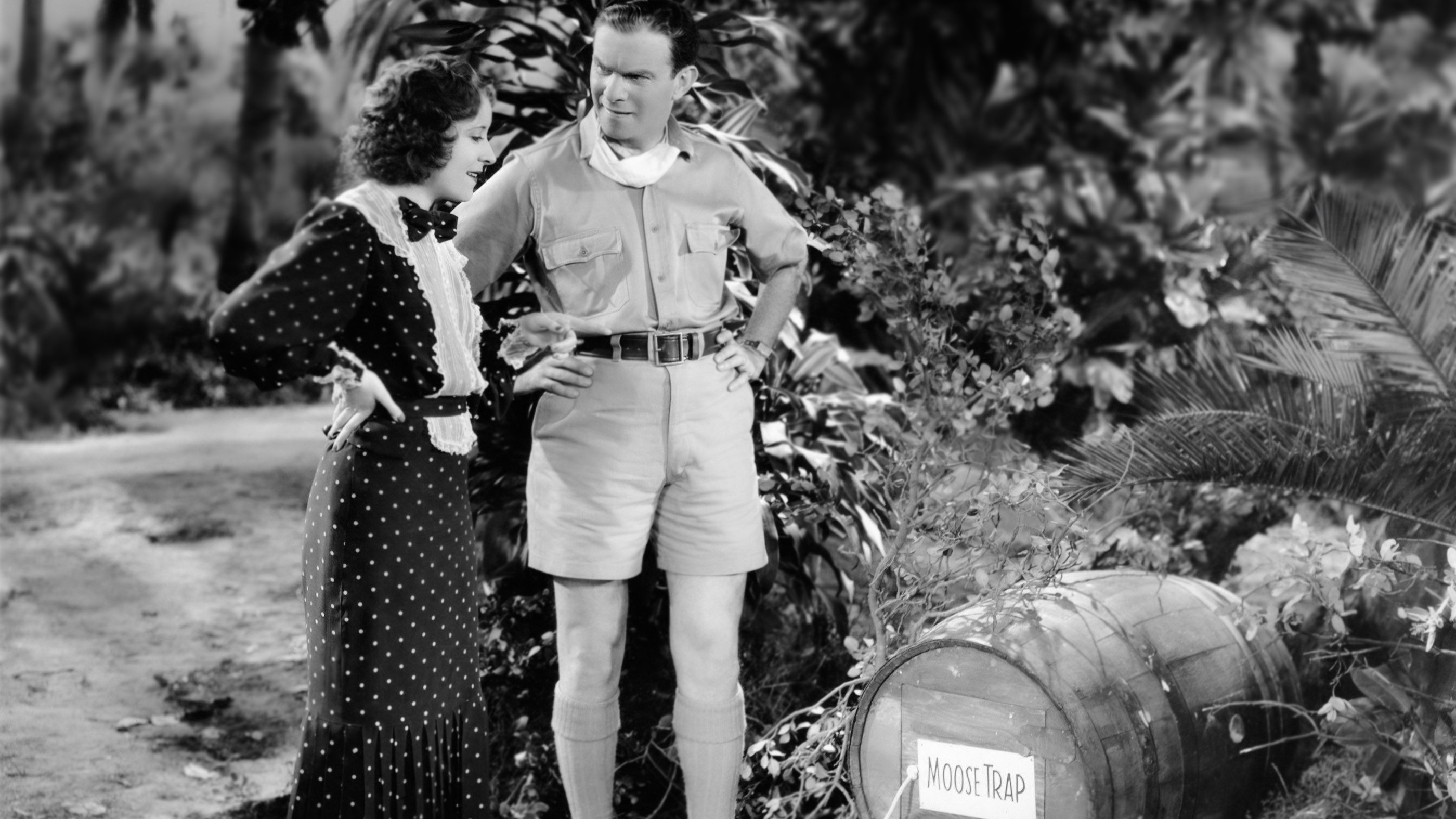 We're Not Dressing Background