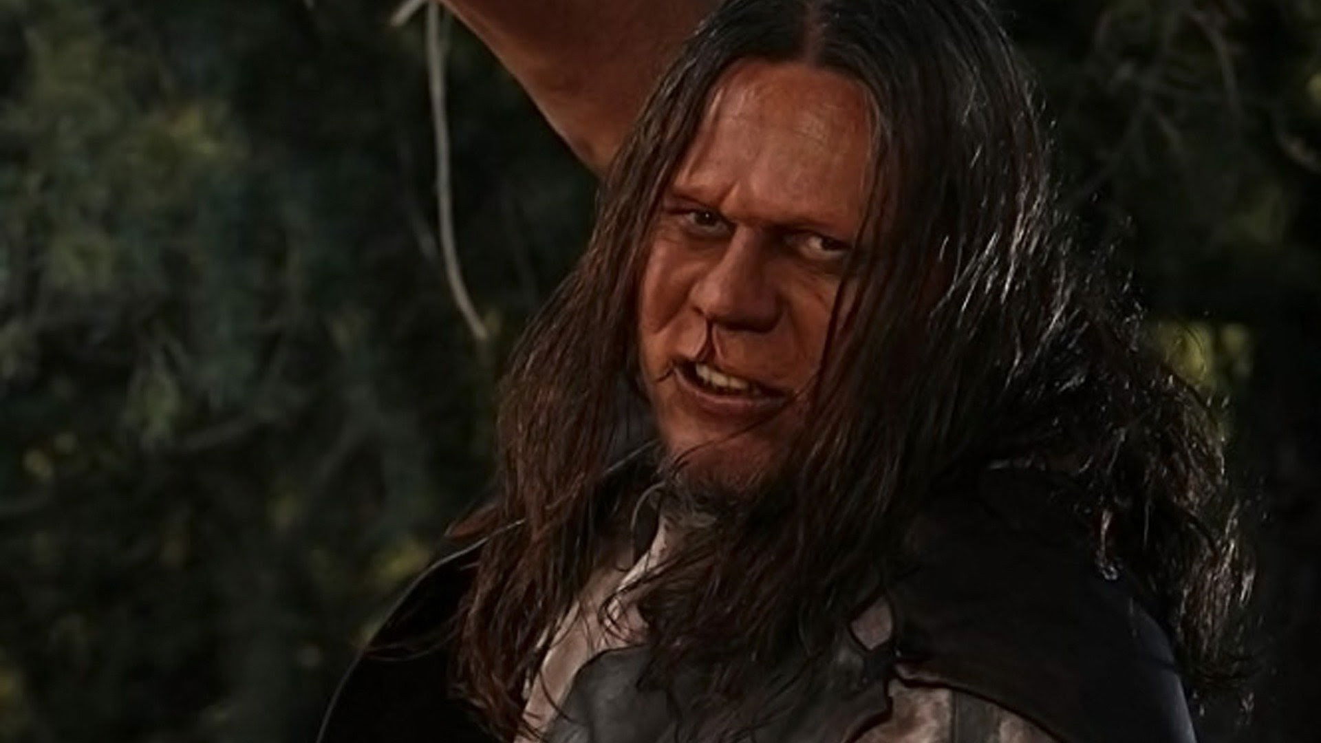 Backwoods Background