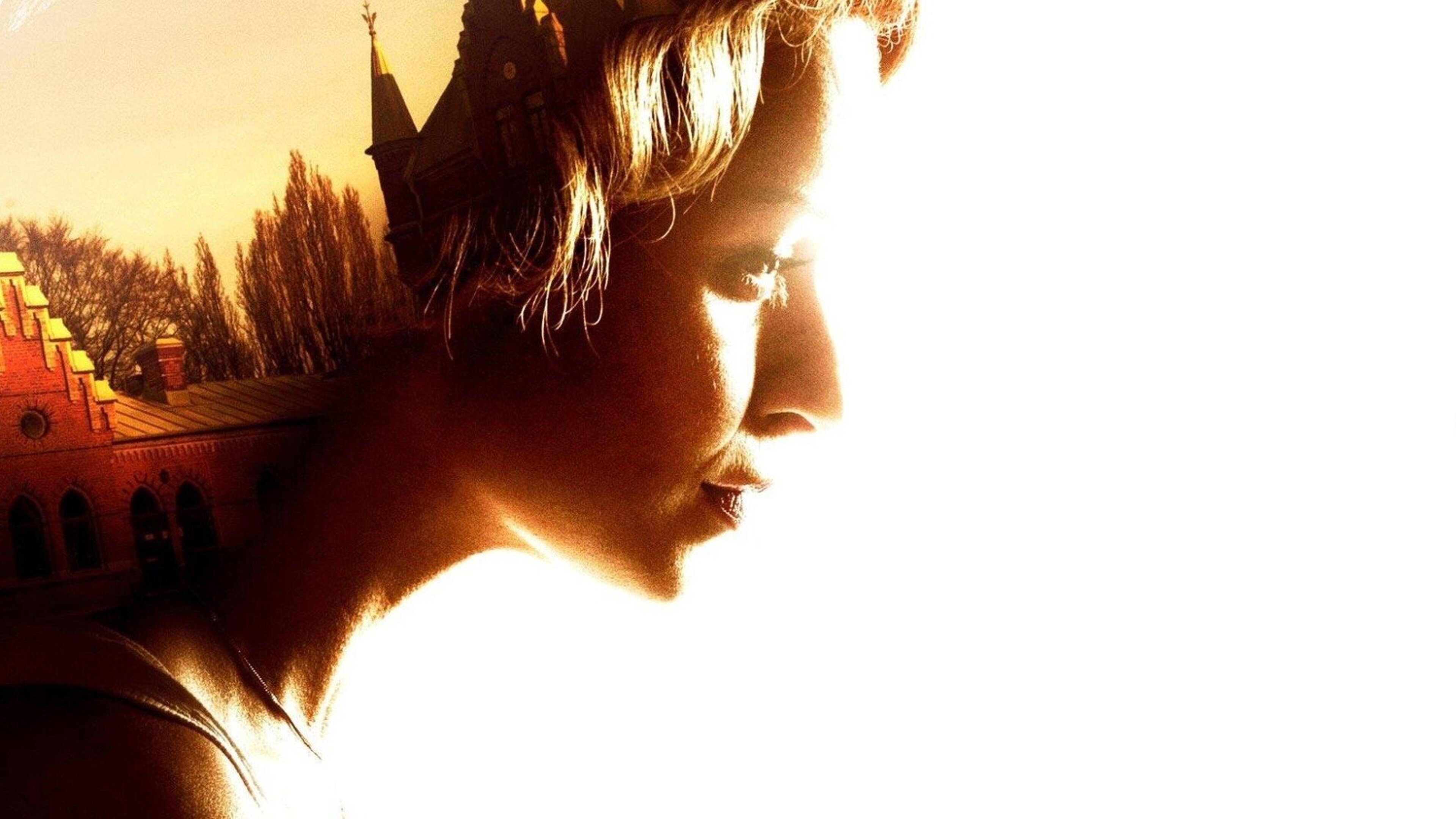 The Fjällbacka Murders: In the Eye of the Beholder Background