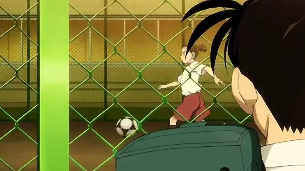 Detective Conan Bonus File 1: Flower of Fantasista Background