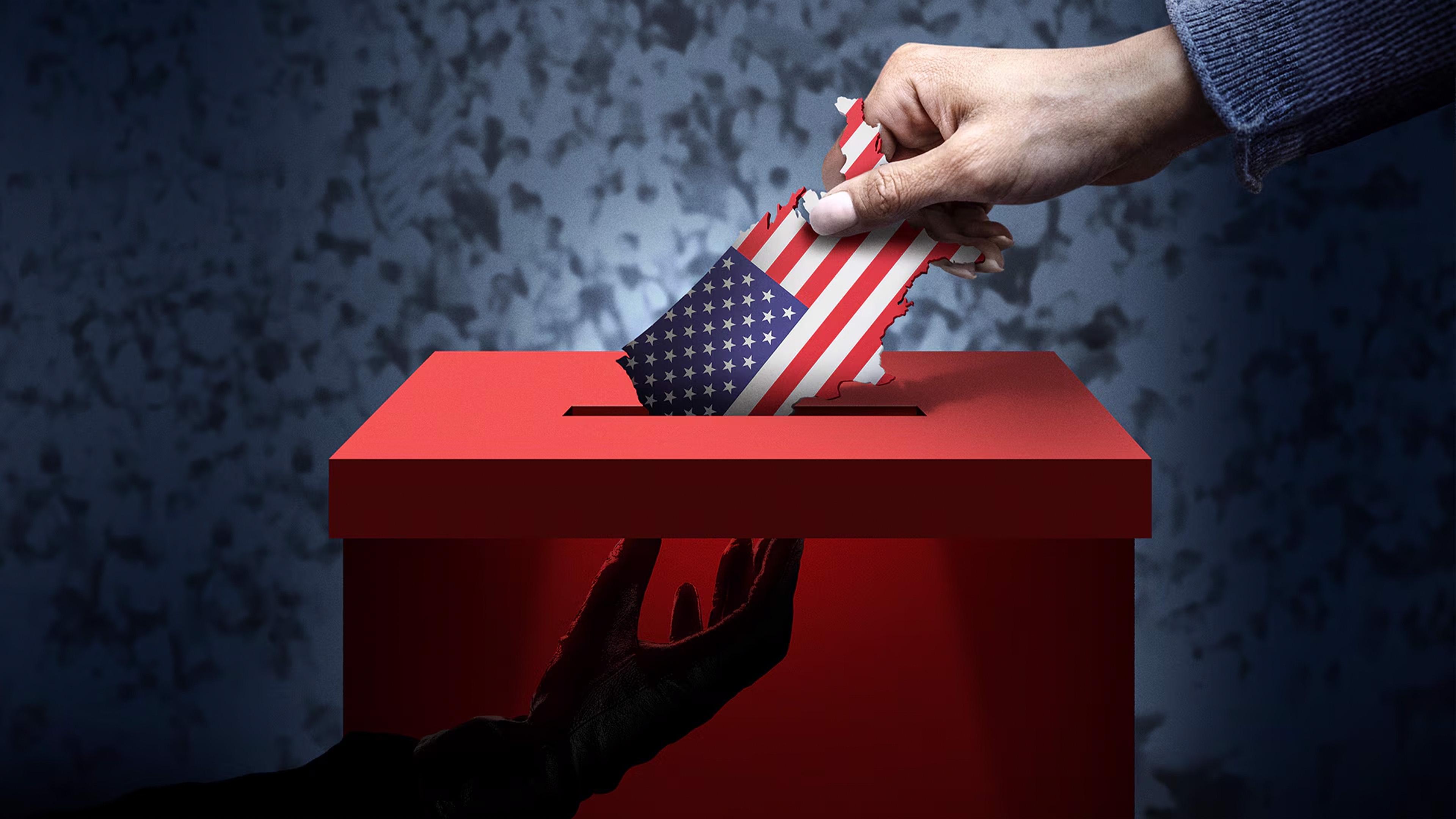 Stopping the Steal Background