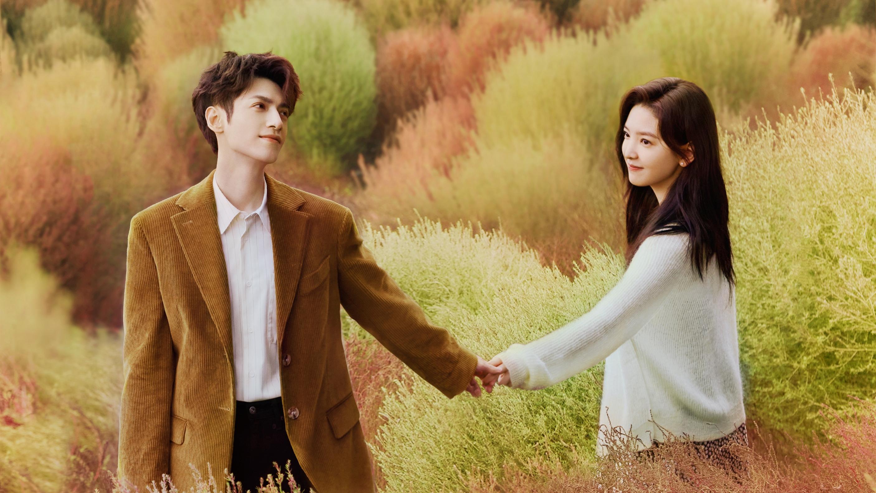 Love is Panacea Background