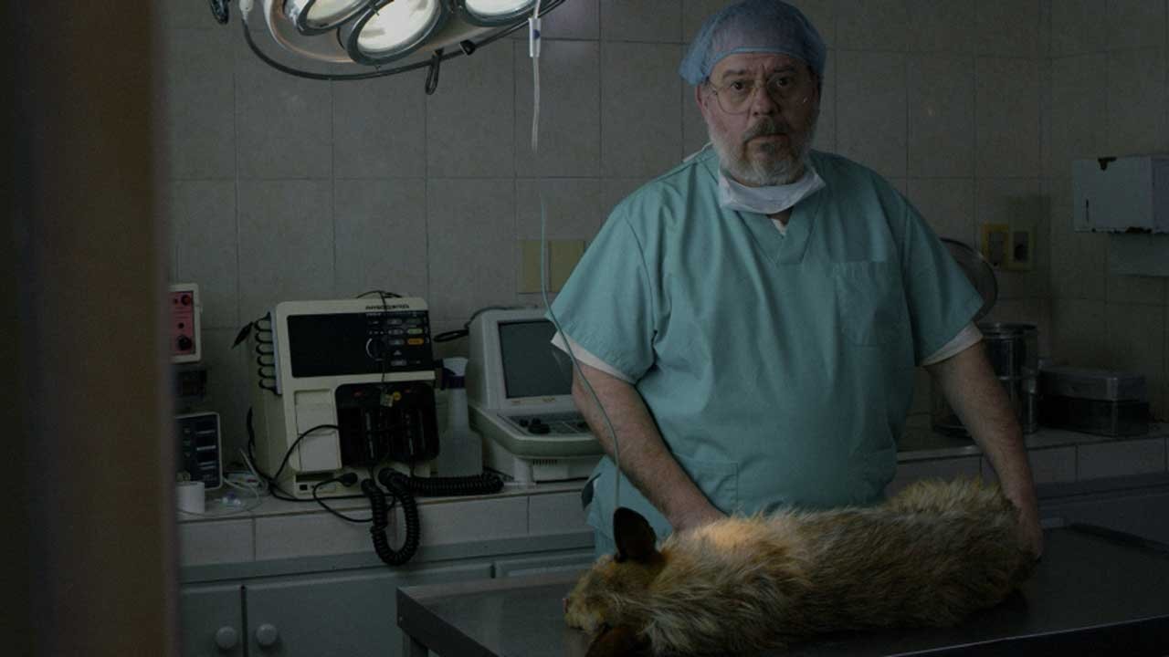 La muerte de un perro Background