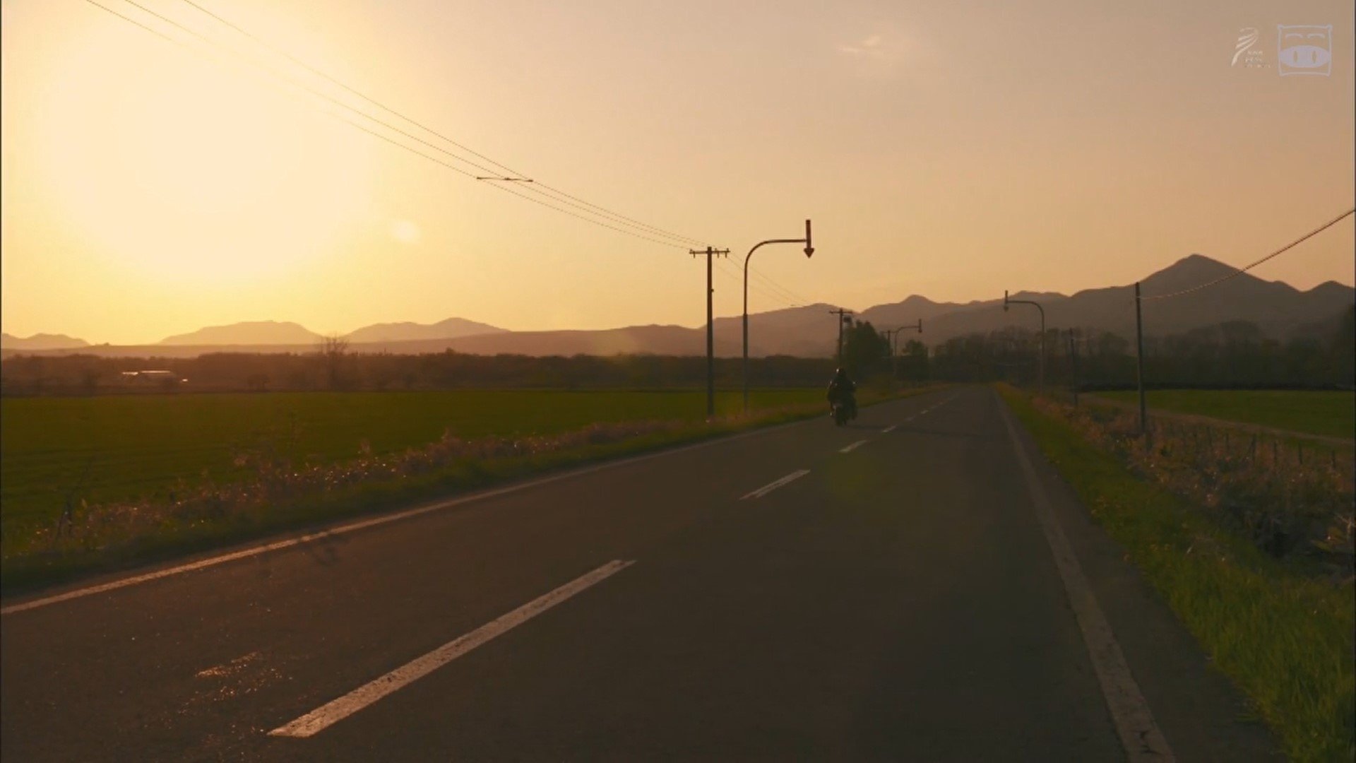 A Distant Cry from Spring Background