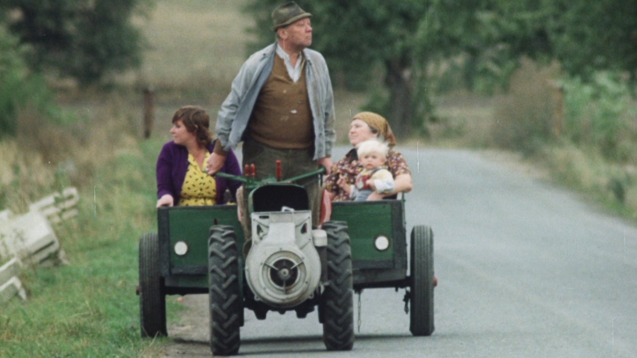 The Snowdrop Festival Background