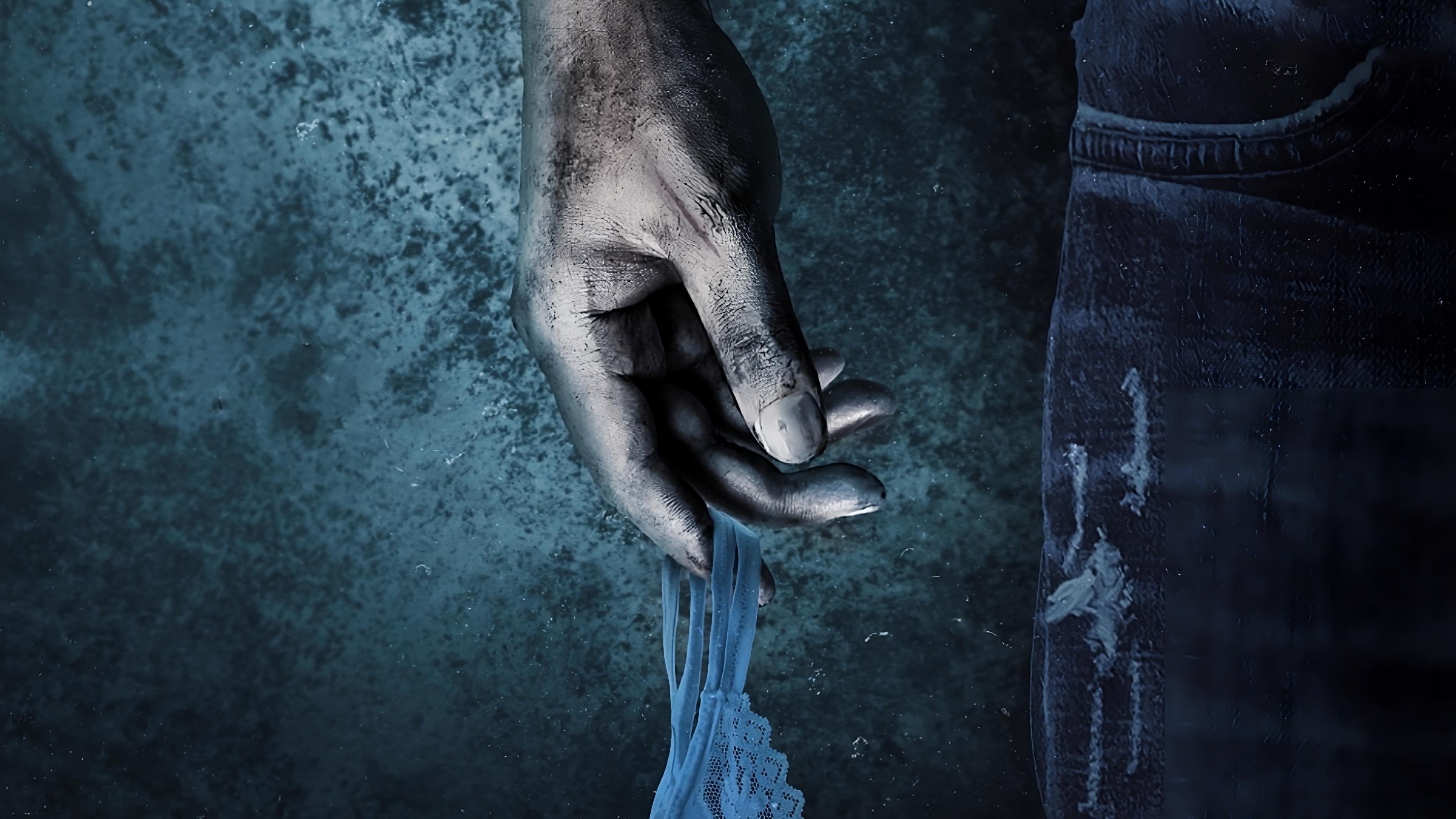 The Rapist's Journal Background