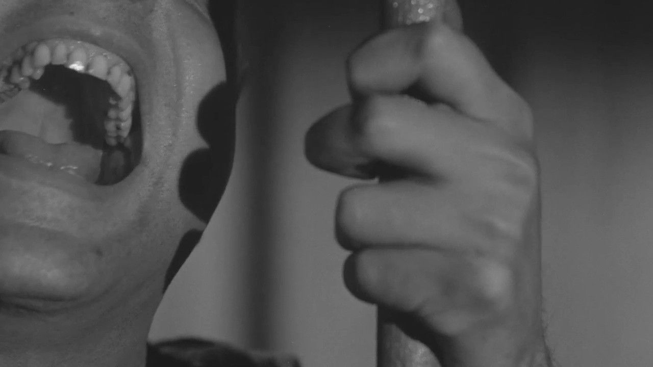 La primera mirada: historia de una escuela de cine Background