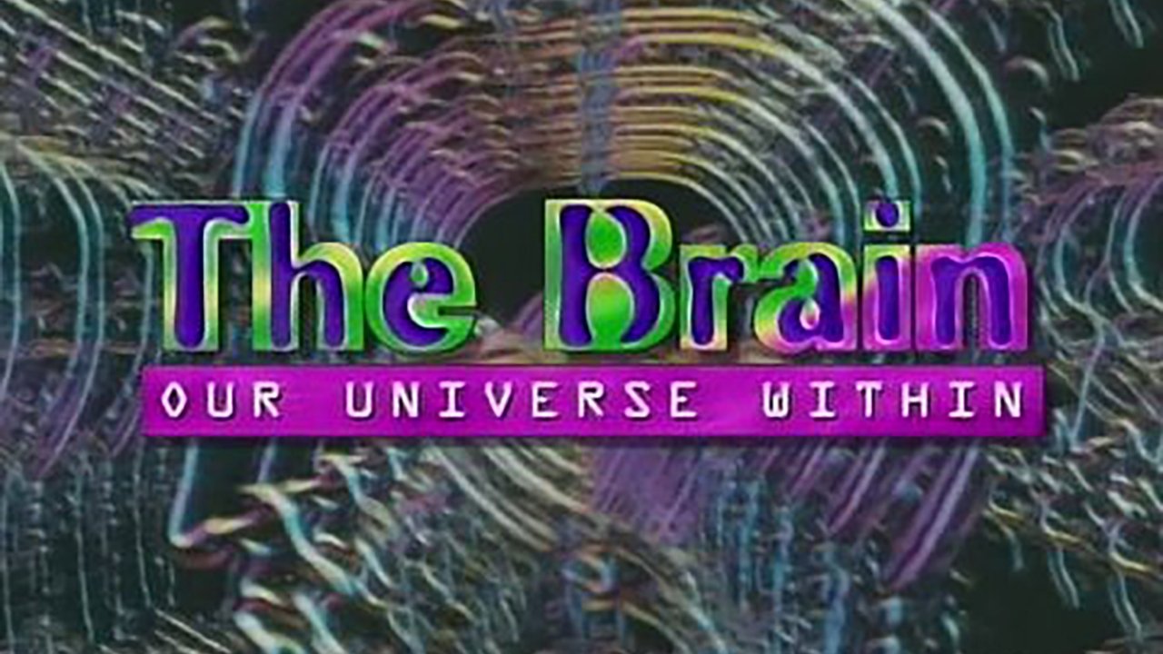 The Brain: Our Universe Within Background