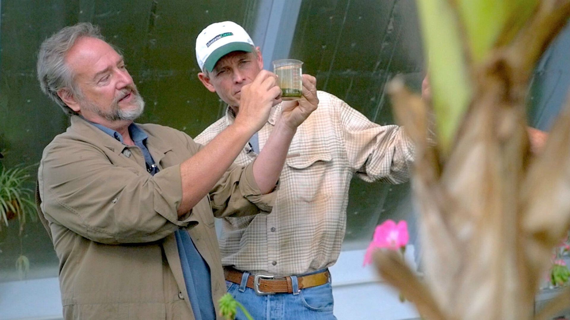 The Need to Grow Background