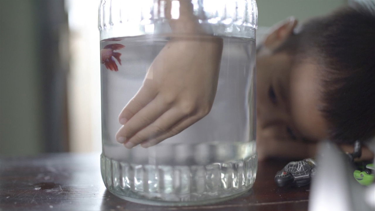 The Dust of Hope Background